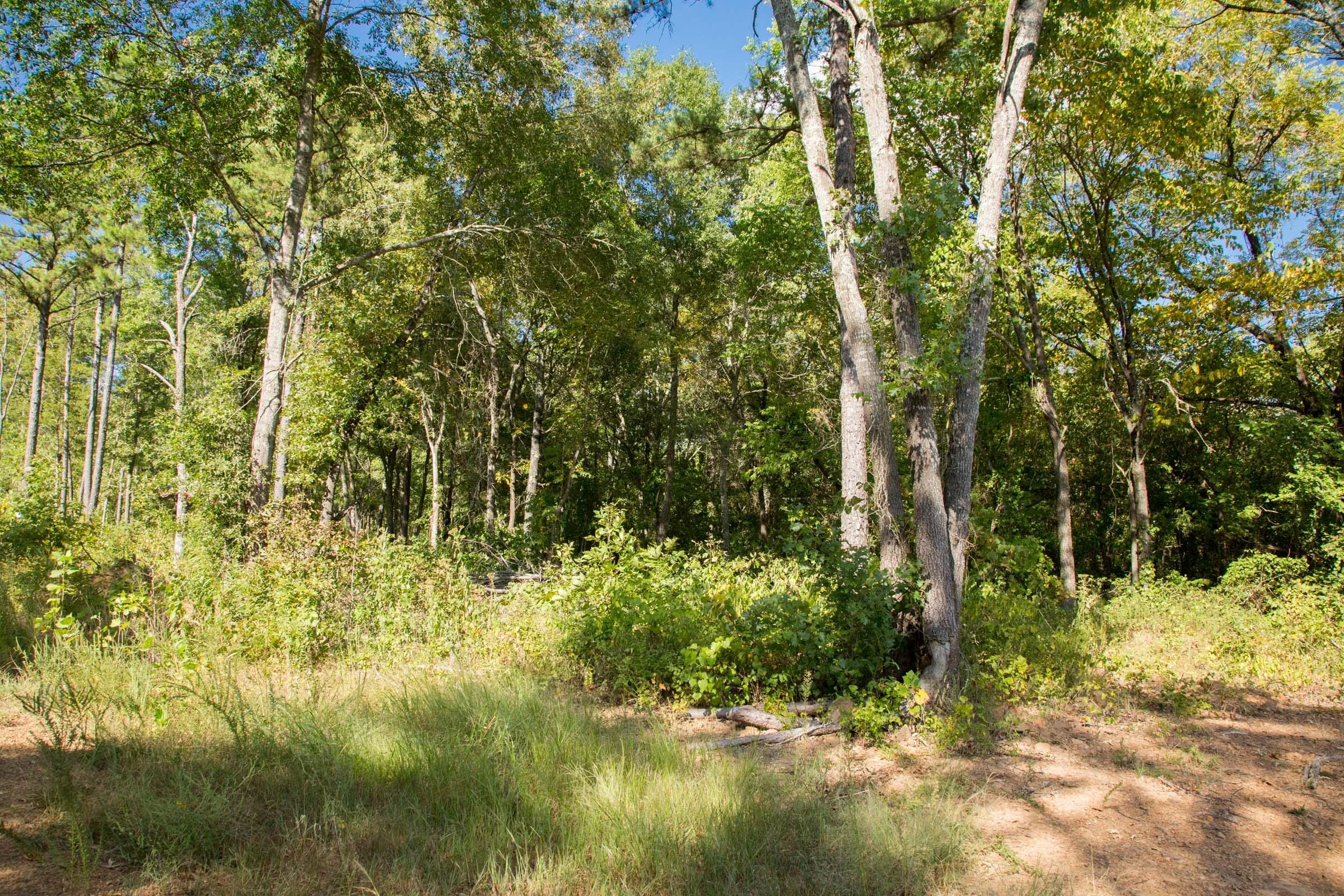 Stone Creek Phase II Tract 266 photo 7