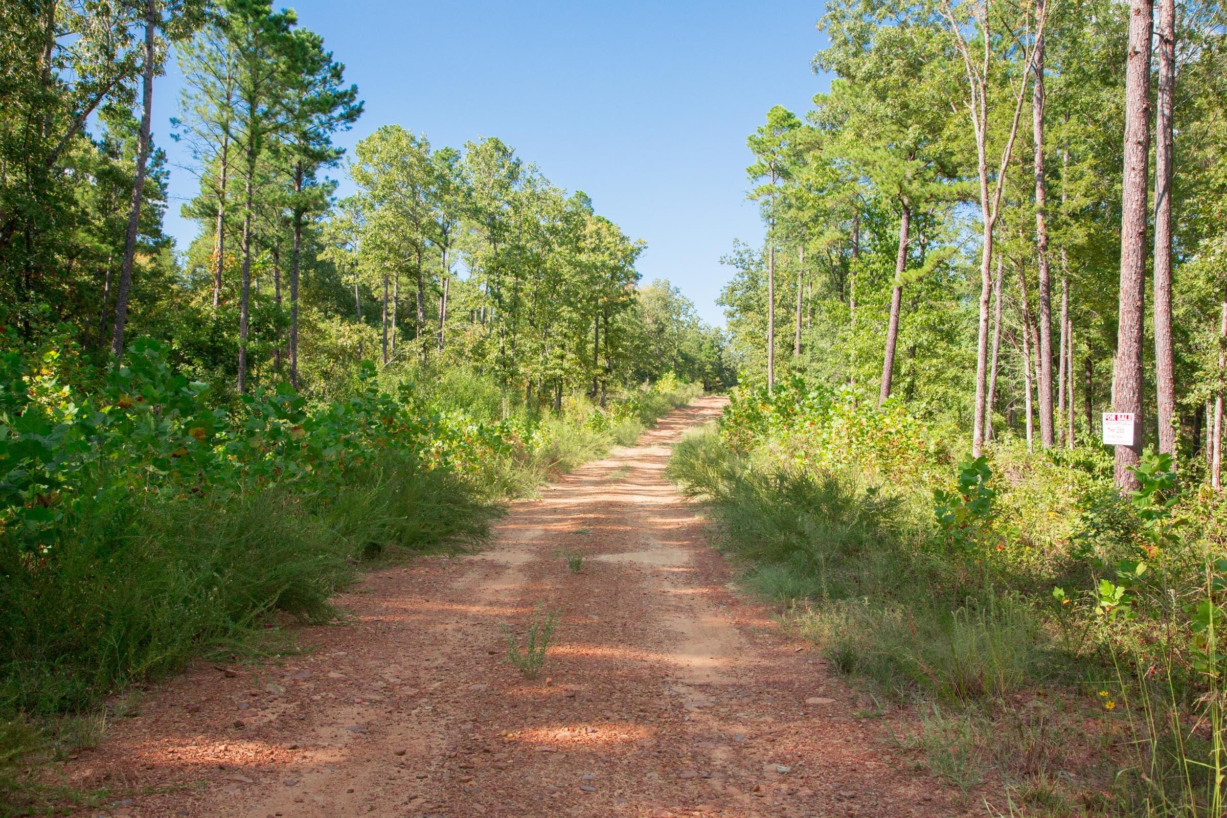 Stone Creek Phase II Tract 266 photo 2