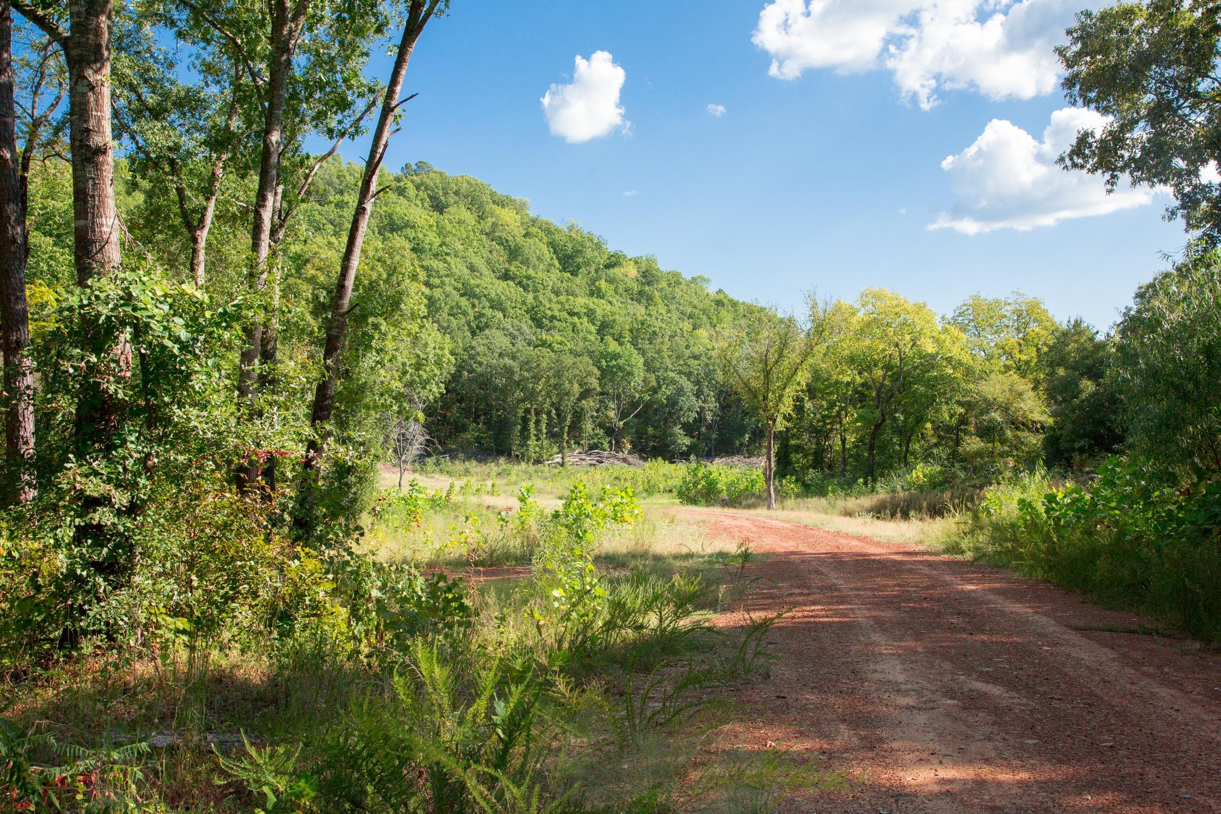 Stone Creek Phase II Tract 266 photo 6