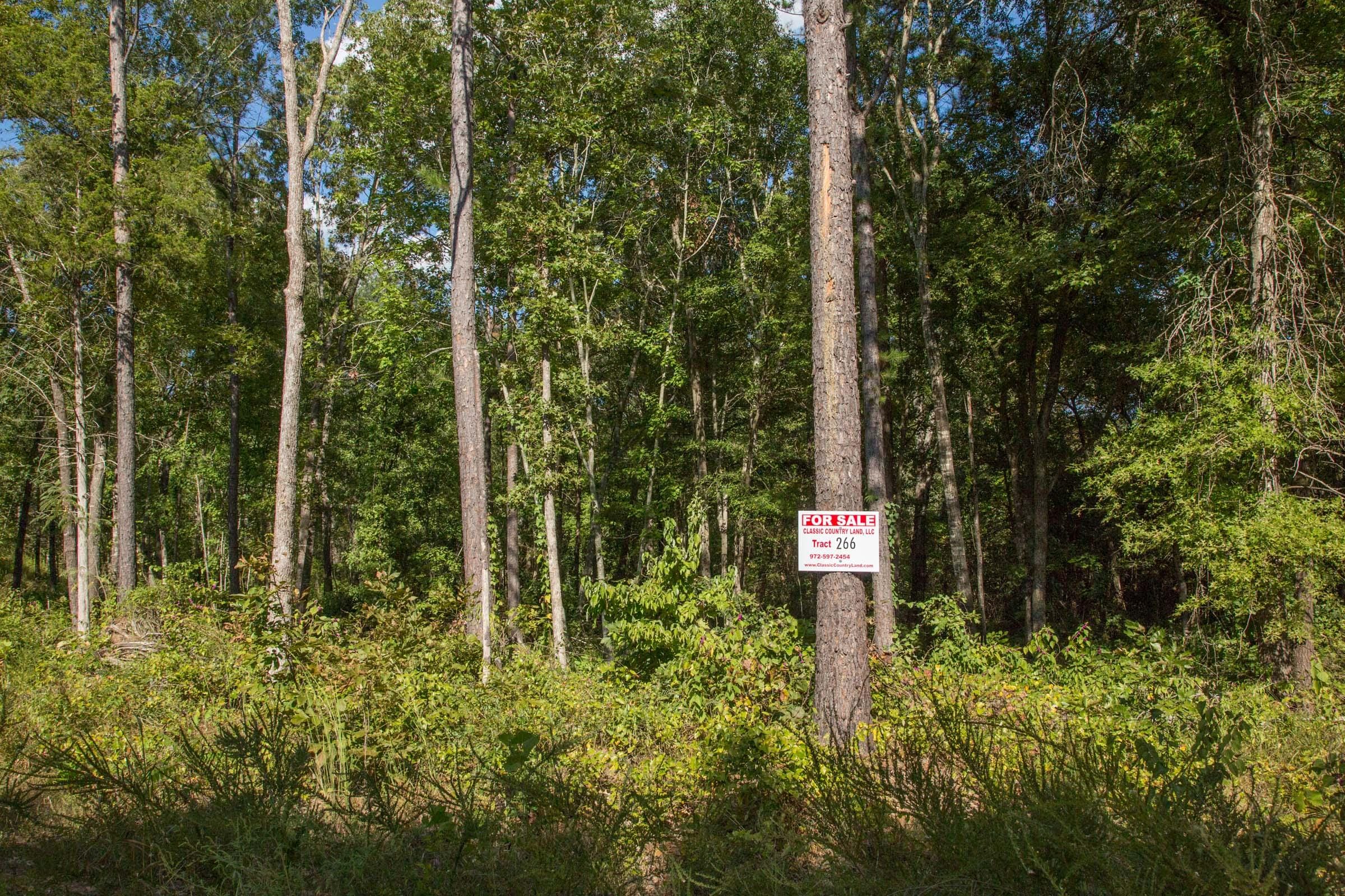 Stone Creek Phase II Tract 266 photo 1
