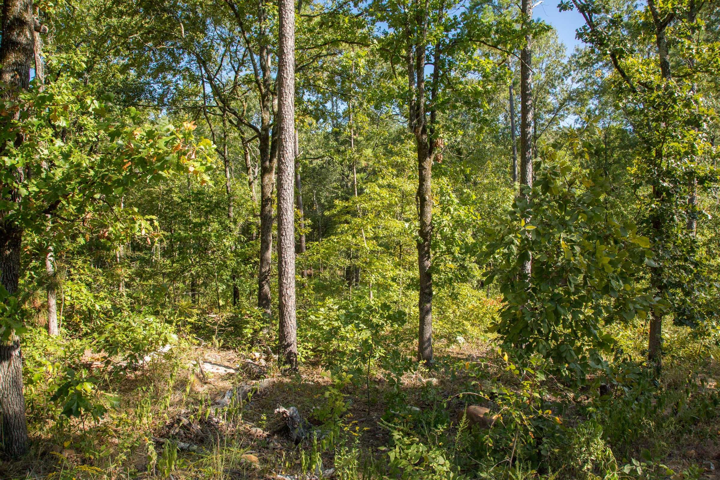 Stone Creek Phase II Tract 266 photo 10