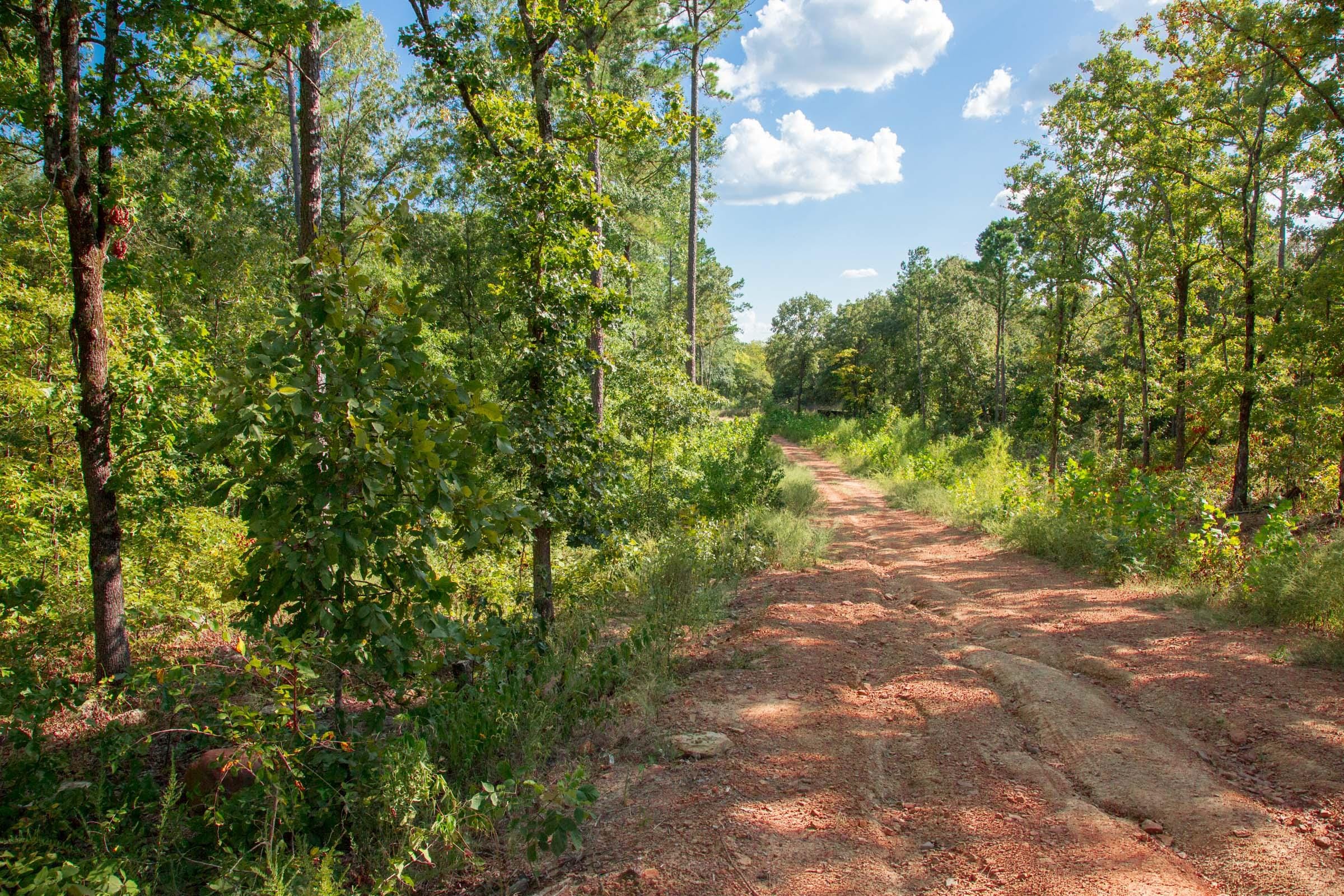 Stone Creek Phase II Tract 266 photo 9
