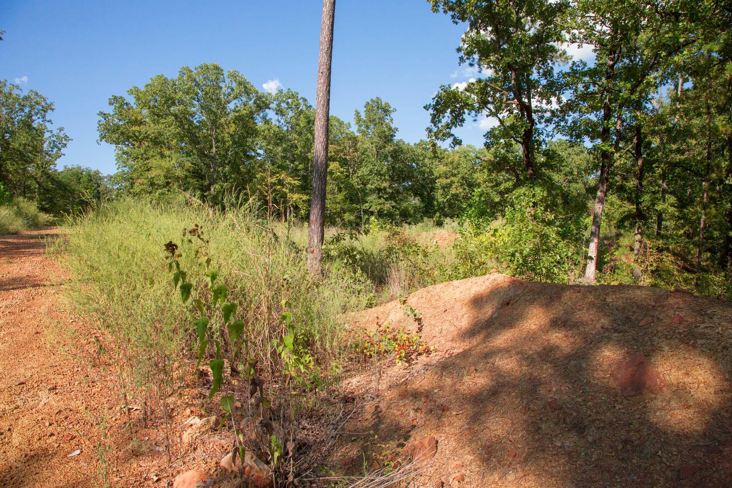 Stone Creek Phase II Tract 266 photo 11