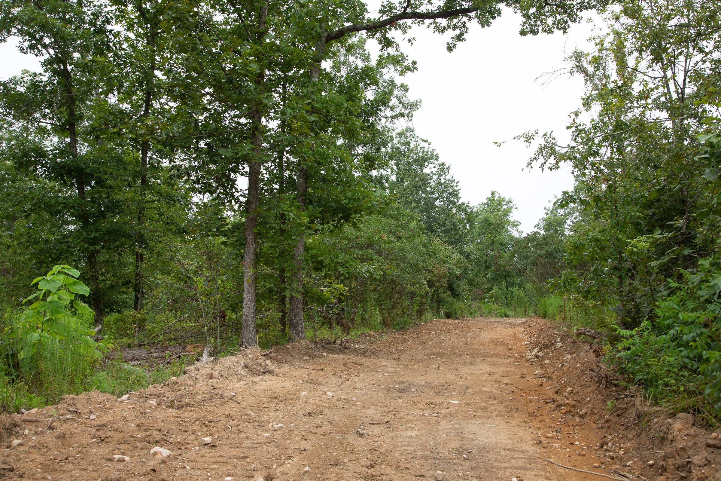 Borgmann’s Hollow Phase II Tract 45 photo 2