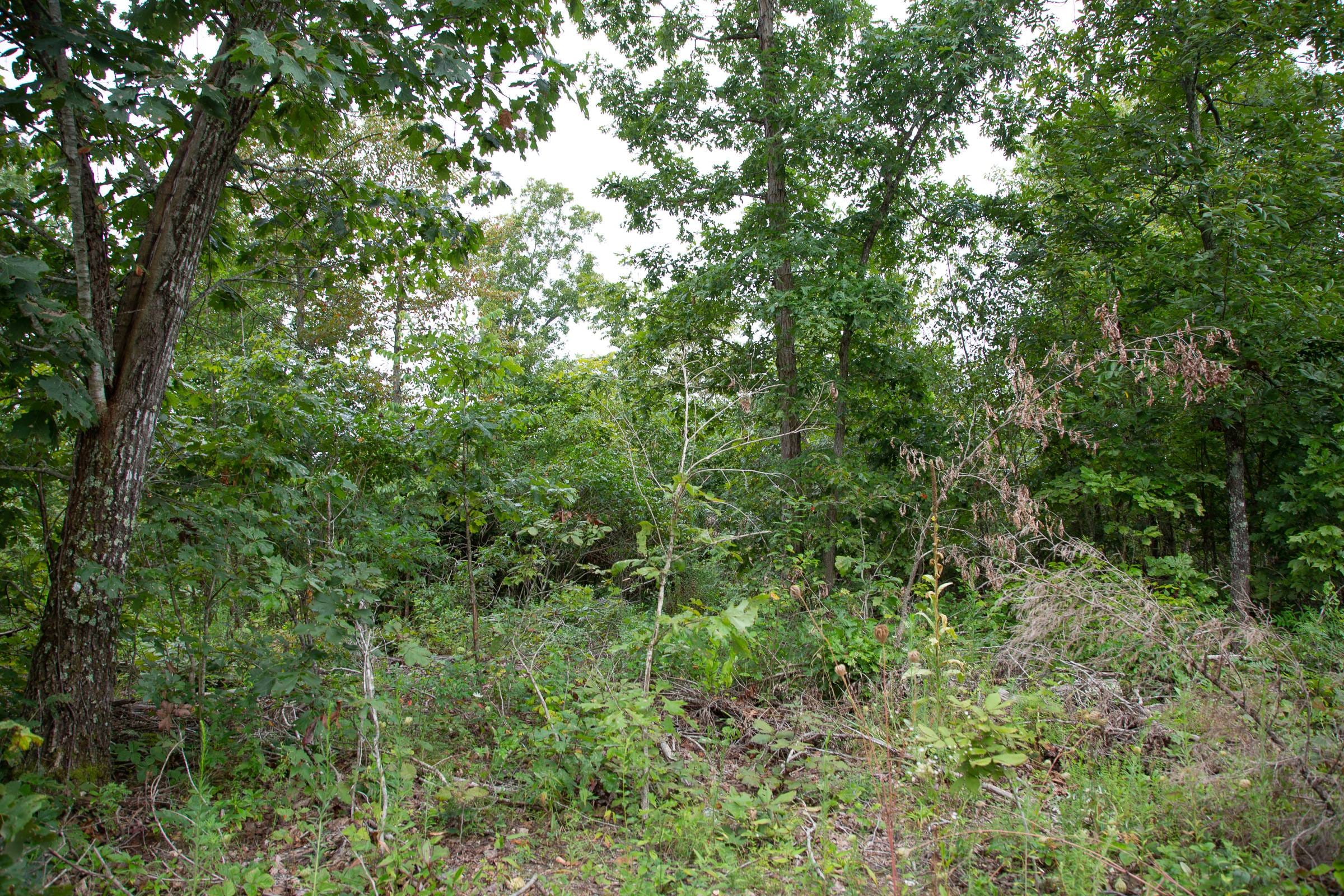 Borgmann’s Hollow Phase II Tract 45 photo 7