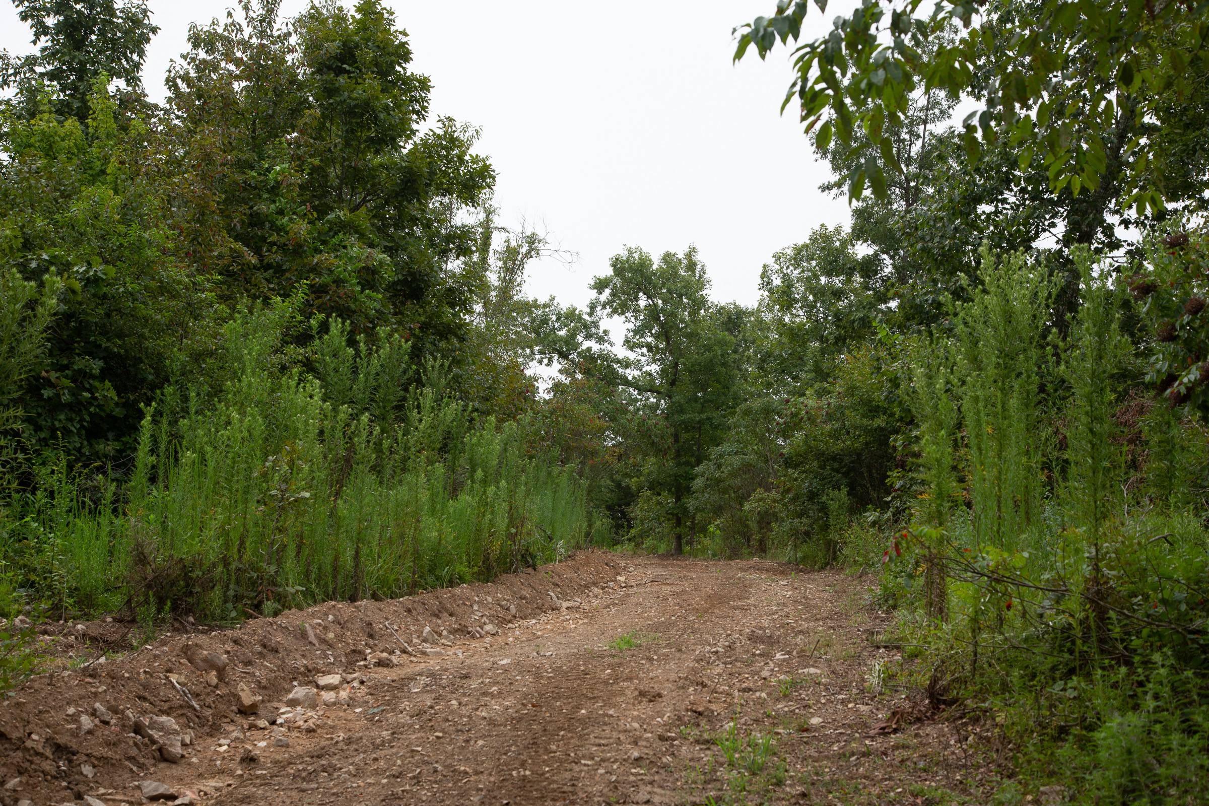 Borgmann’s Hollow Phase II Tract 45 photo 9