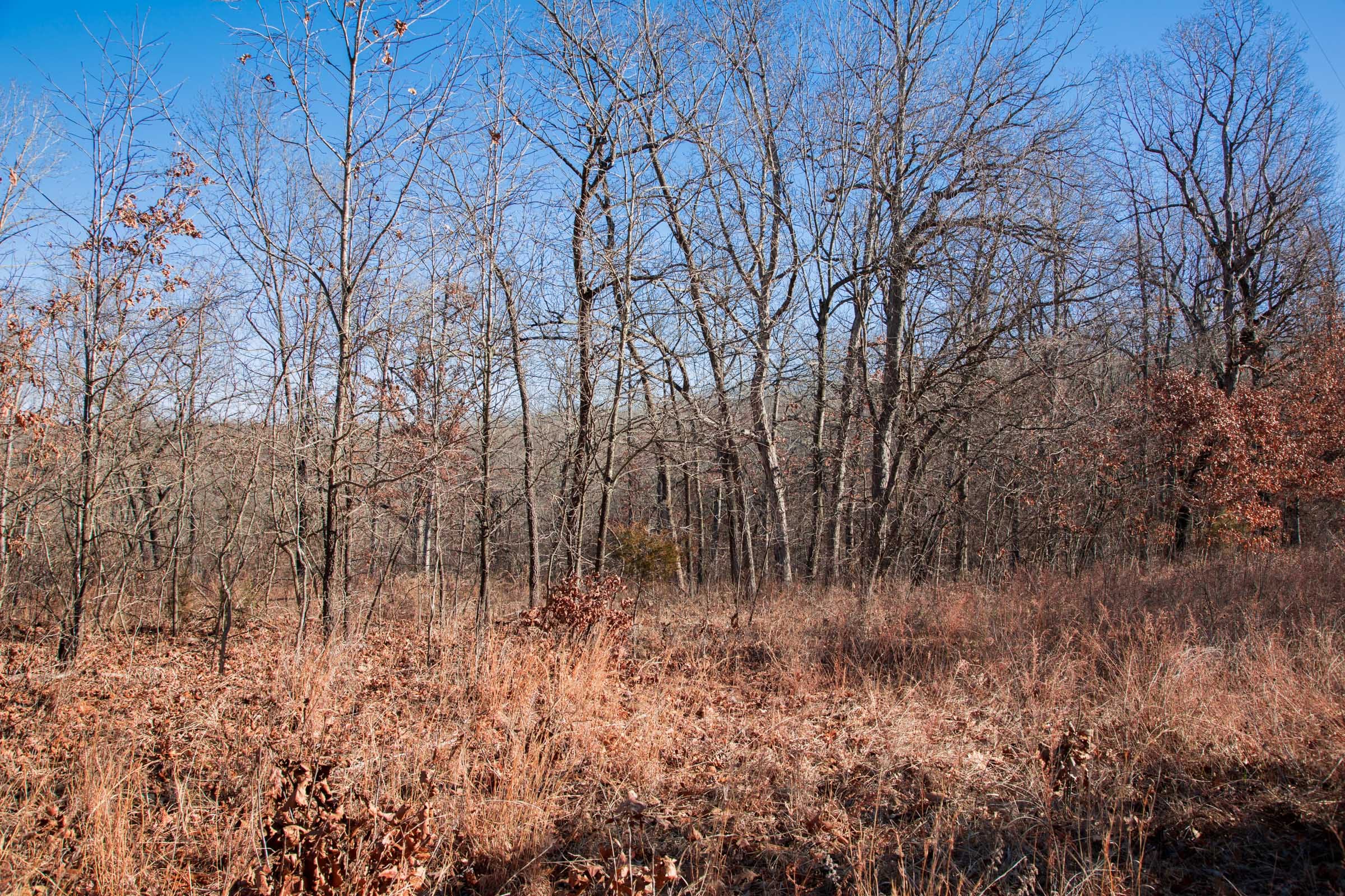 Buffalo Hills Tract 1 photo 2