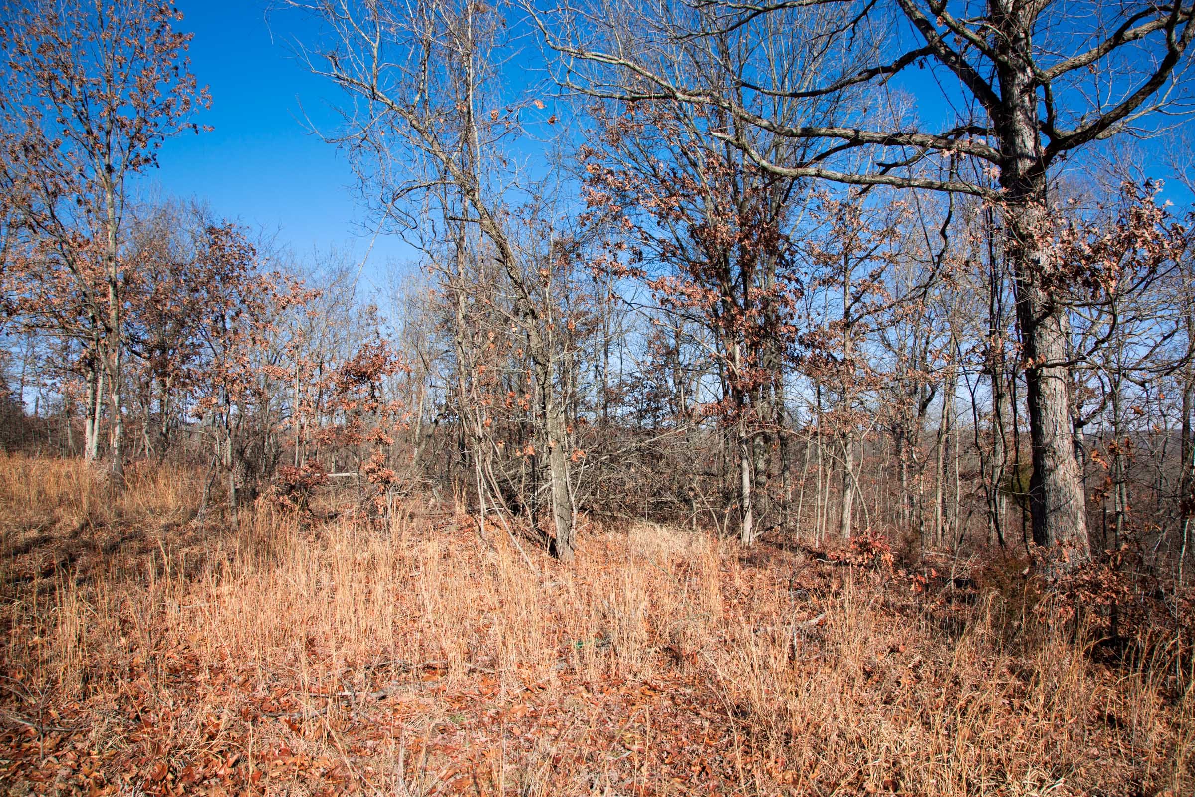 Buffalo Hills Tract 1 photo 3