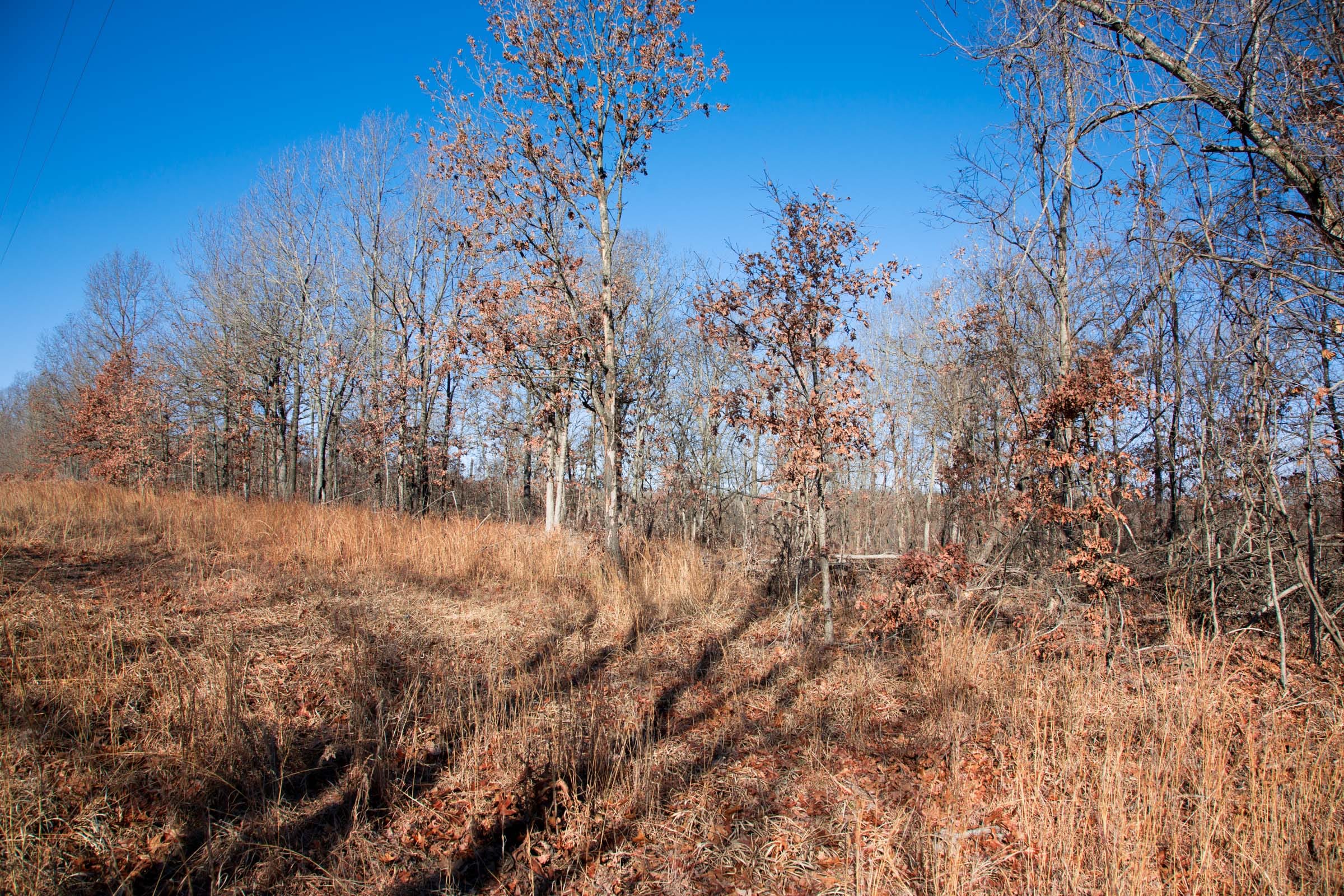 Buffalo Hills Tract 1 photo 4