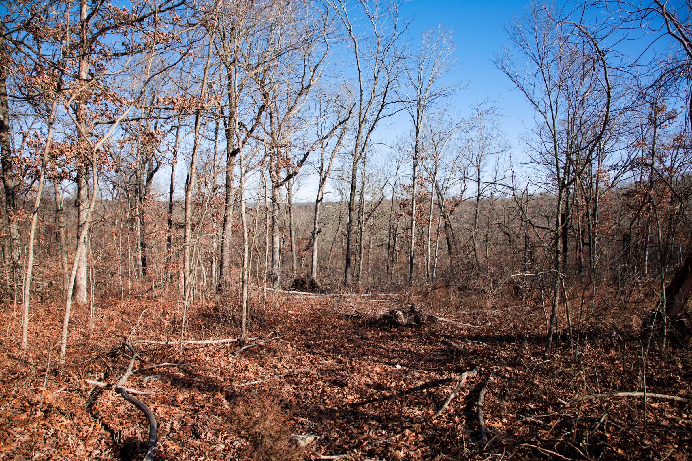 Buffalo Hills Tract 1 photo 5