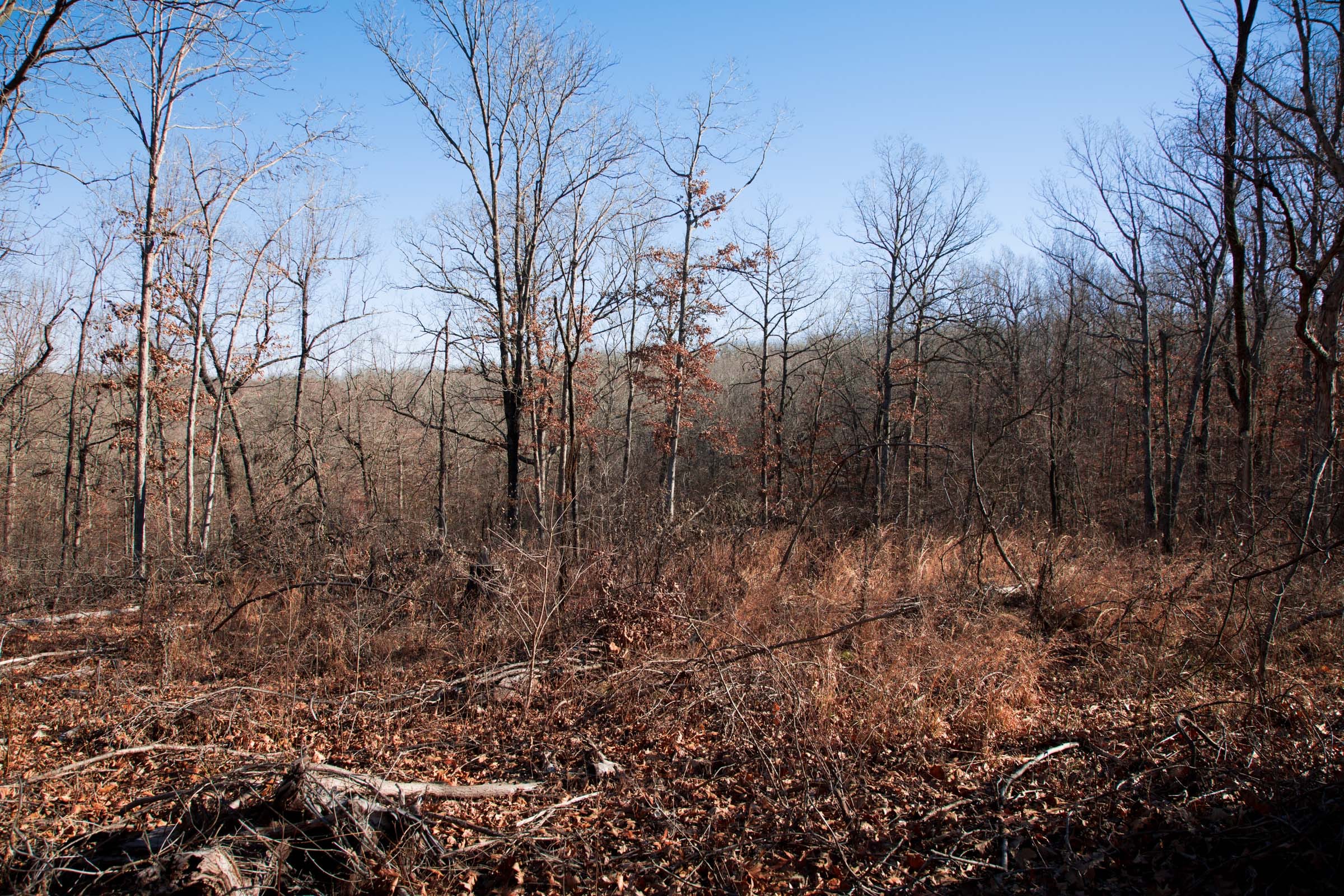 Buffalo Hills Tract 1 photo 6