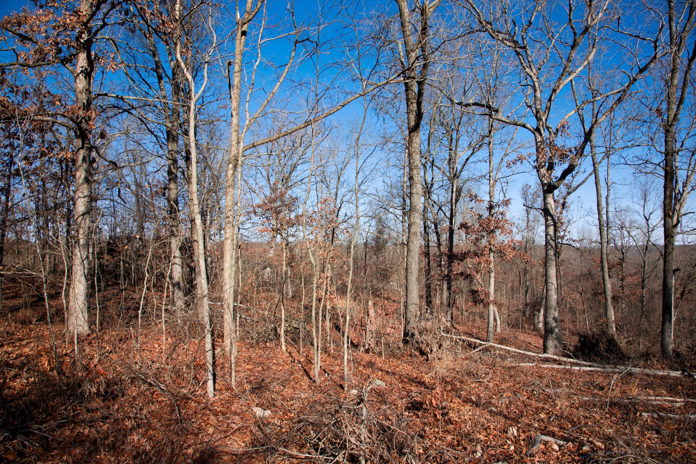 Buffalo Hills Tract 1 photo 7