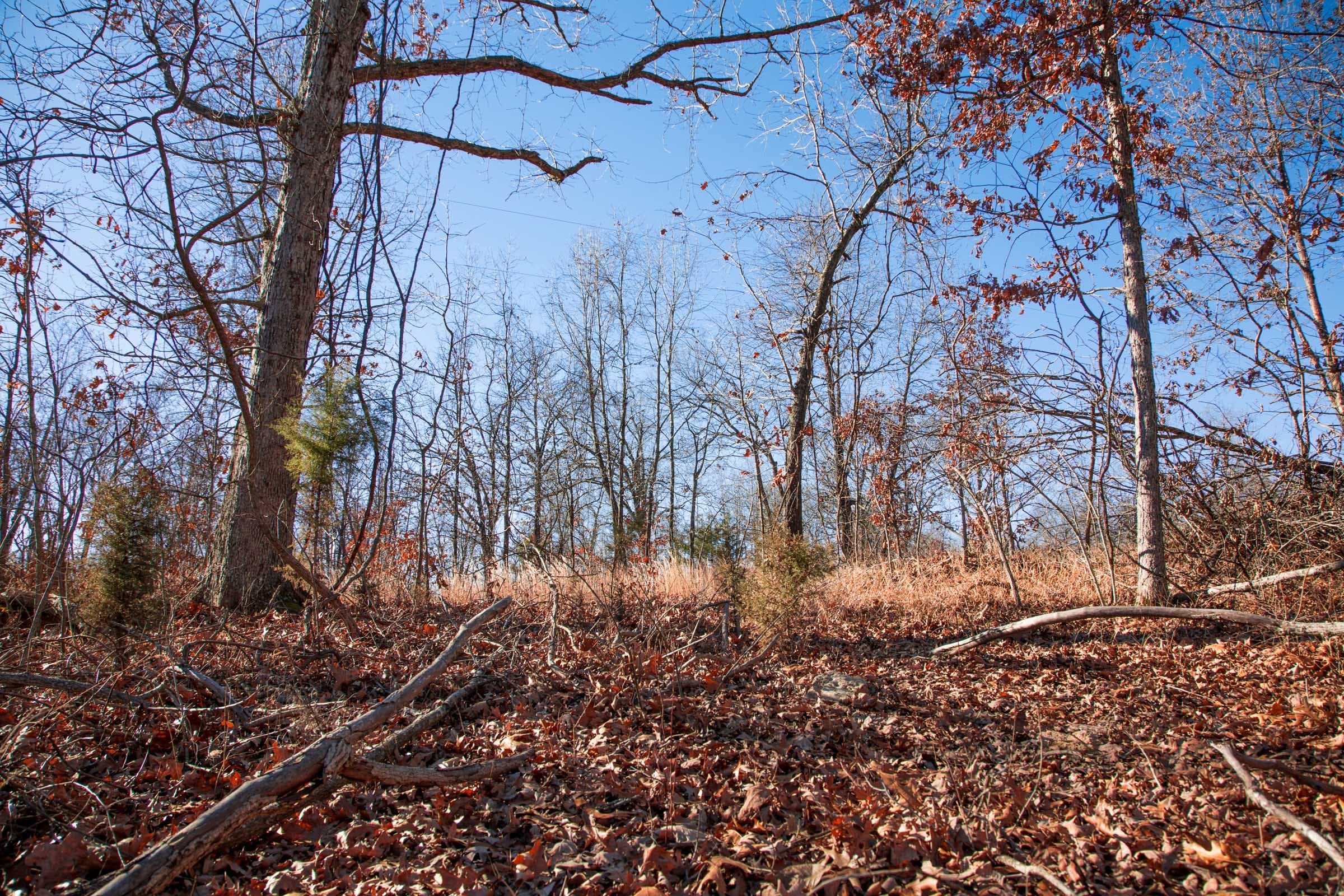Buffalo Hills Tract 1 photo 8