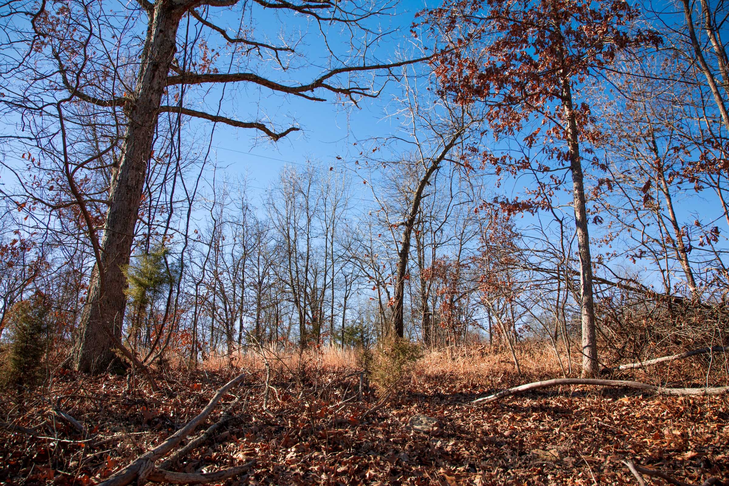 Buffalo Hills Tract 1 photo 9