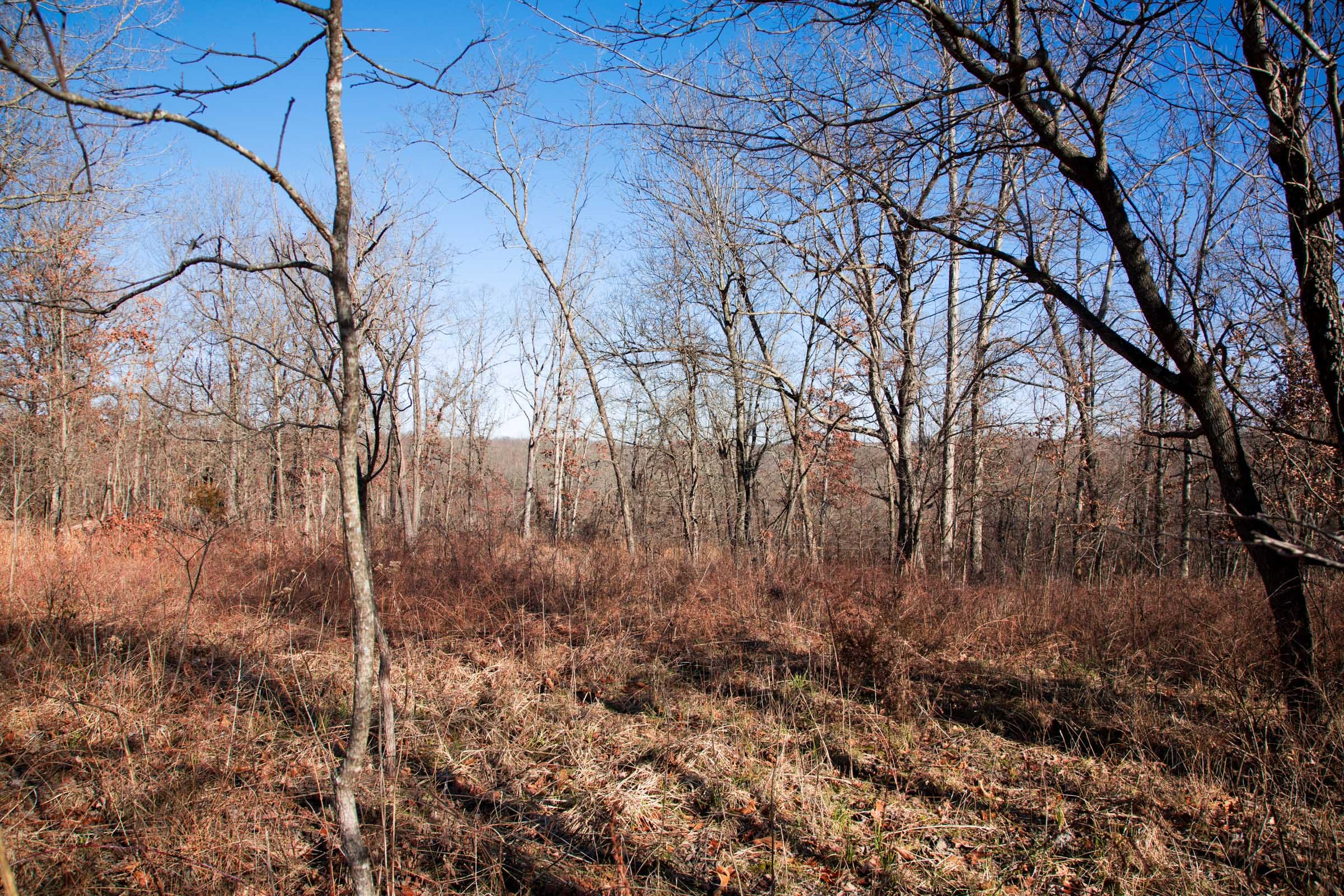 Buffalo Hills Tract 1 photo 10