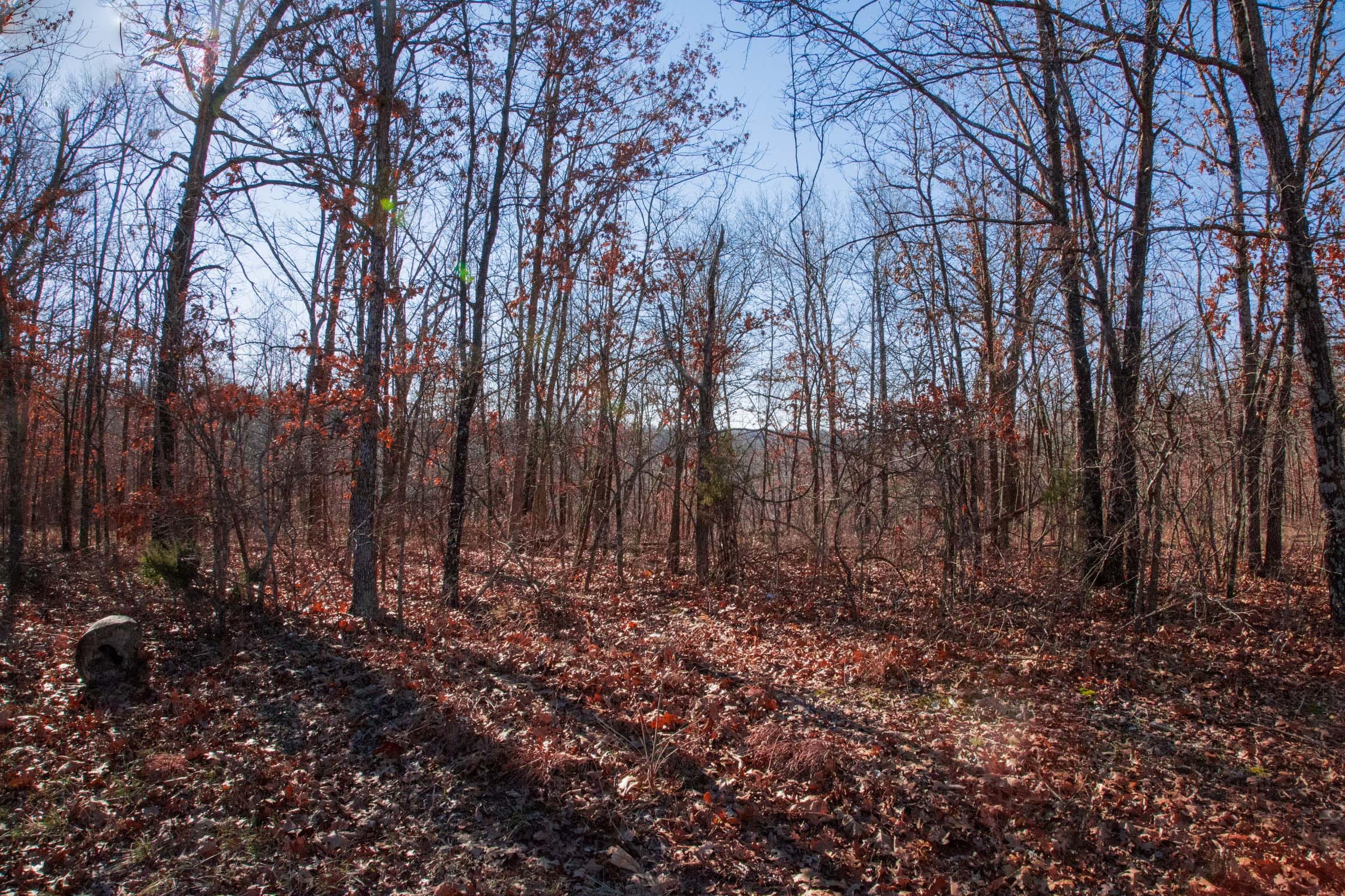 Buffalo Hills Tract 1 photo 12