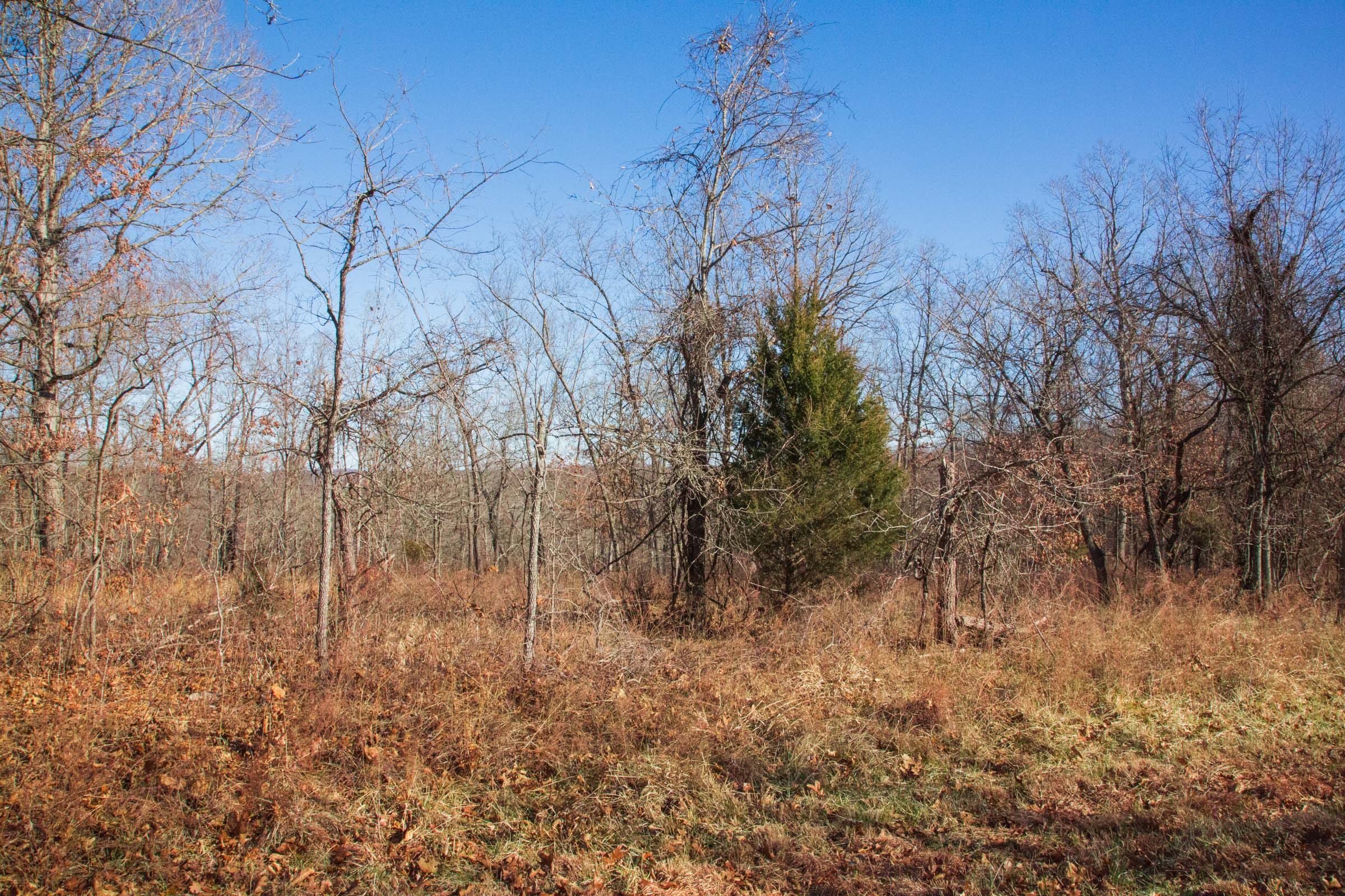 Buffalo Hills Tract 1 photo 13