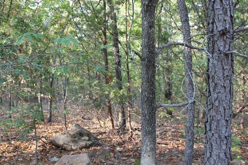 Lake View Ranch Tract 22 photo 2