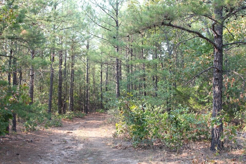Lake View Ranch Tract 22 photo 3