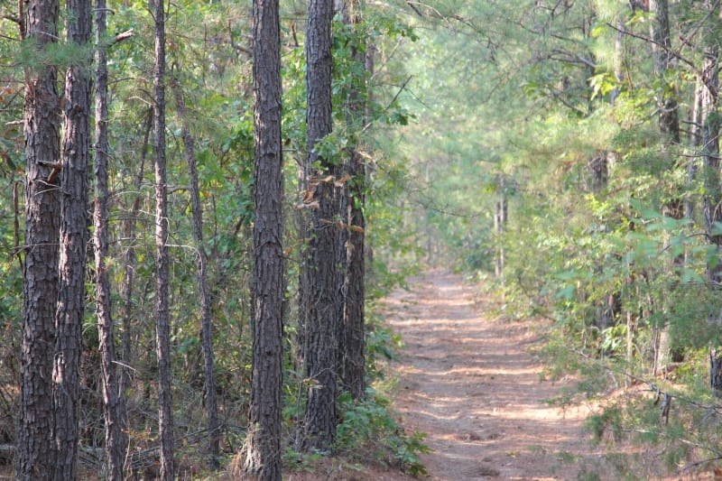 Lake View Ranch Tract 22 photo 4