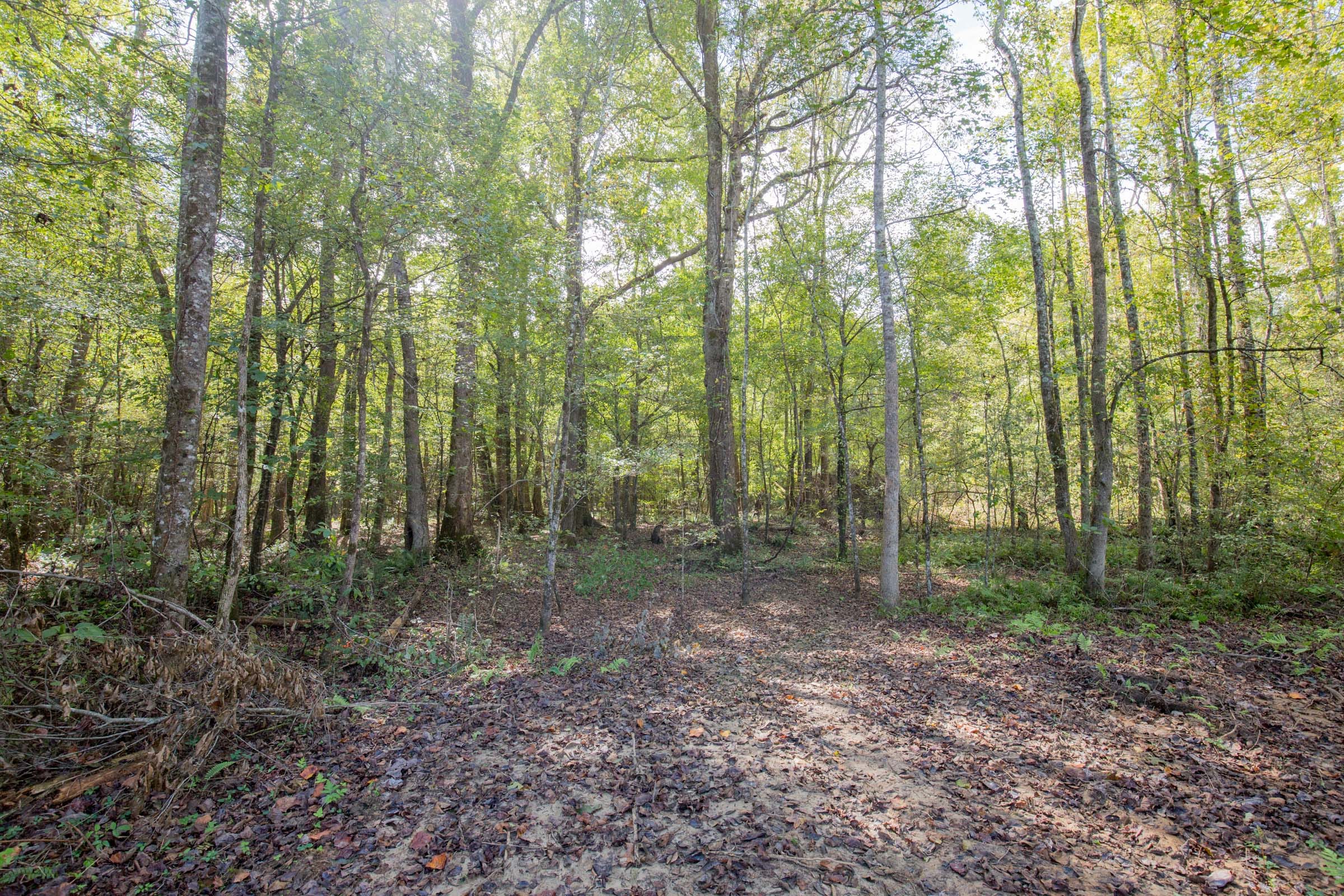Sky Ranch Tract 8 photo 1