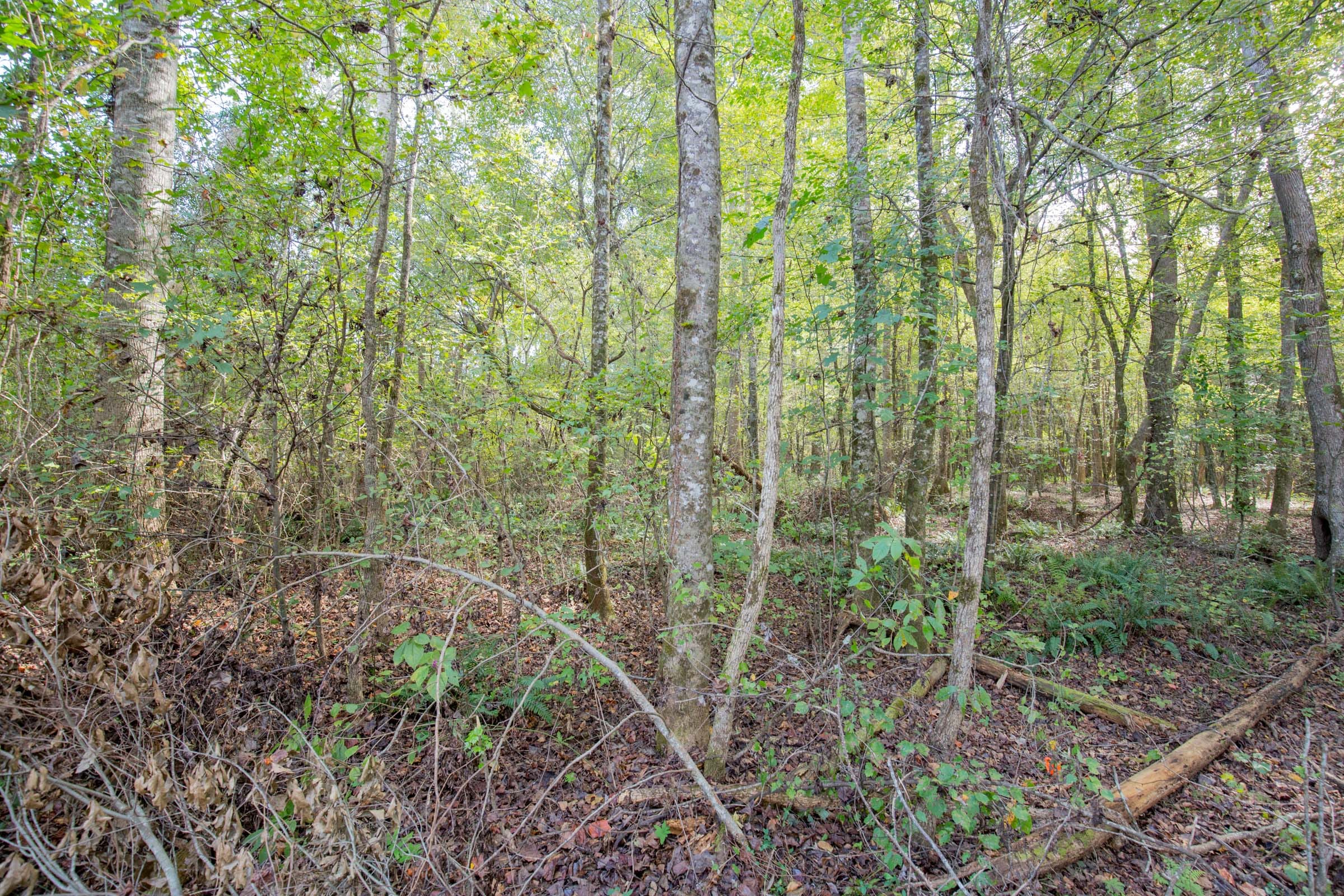 Sky Ranch Tract 8 photo 3