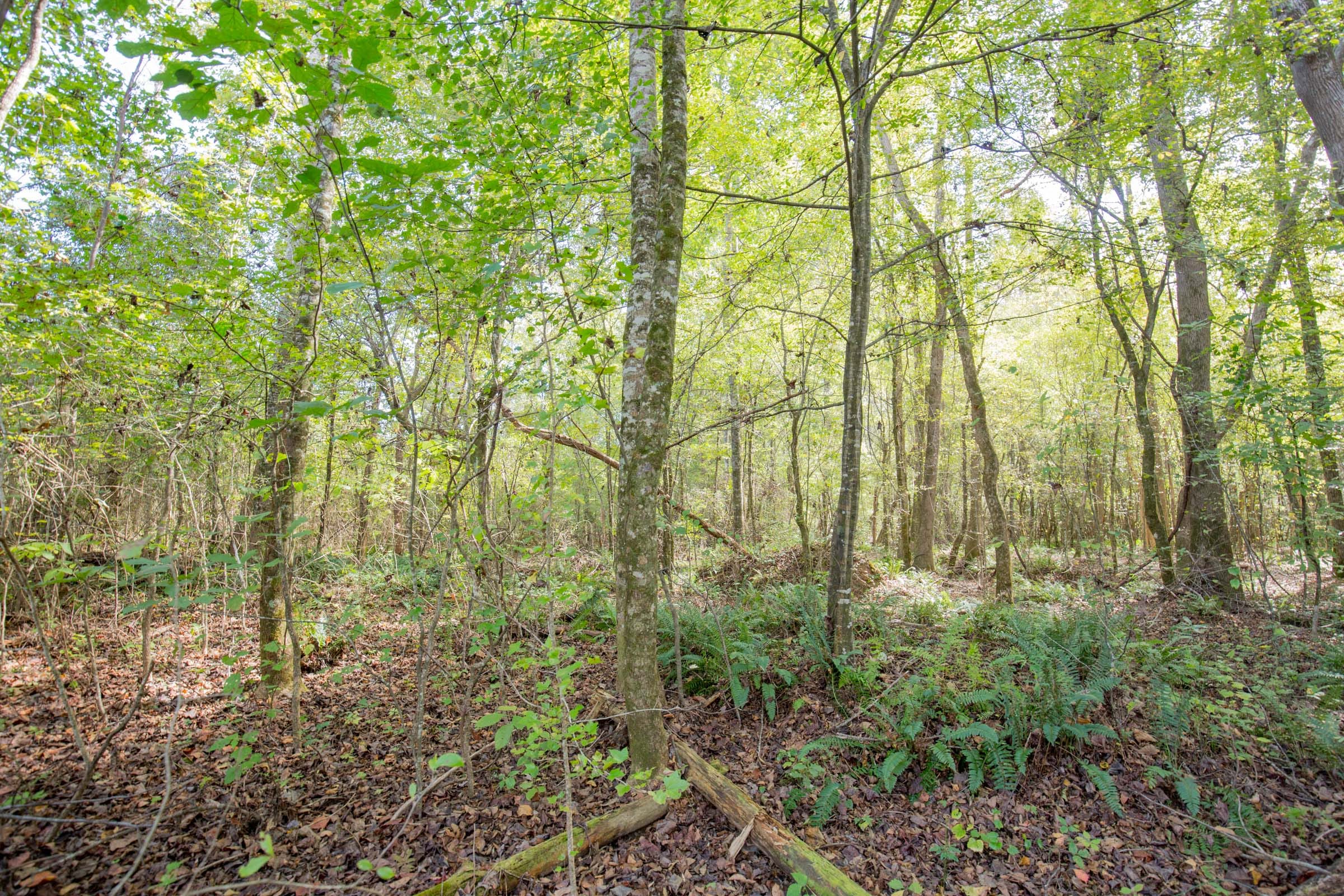 Sky Ranch Tract 8 photo 5