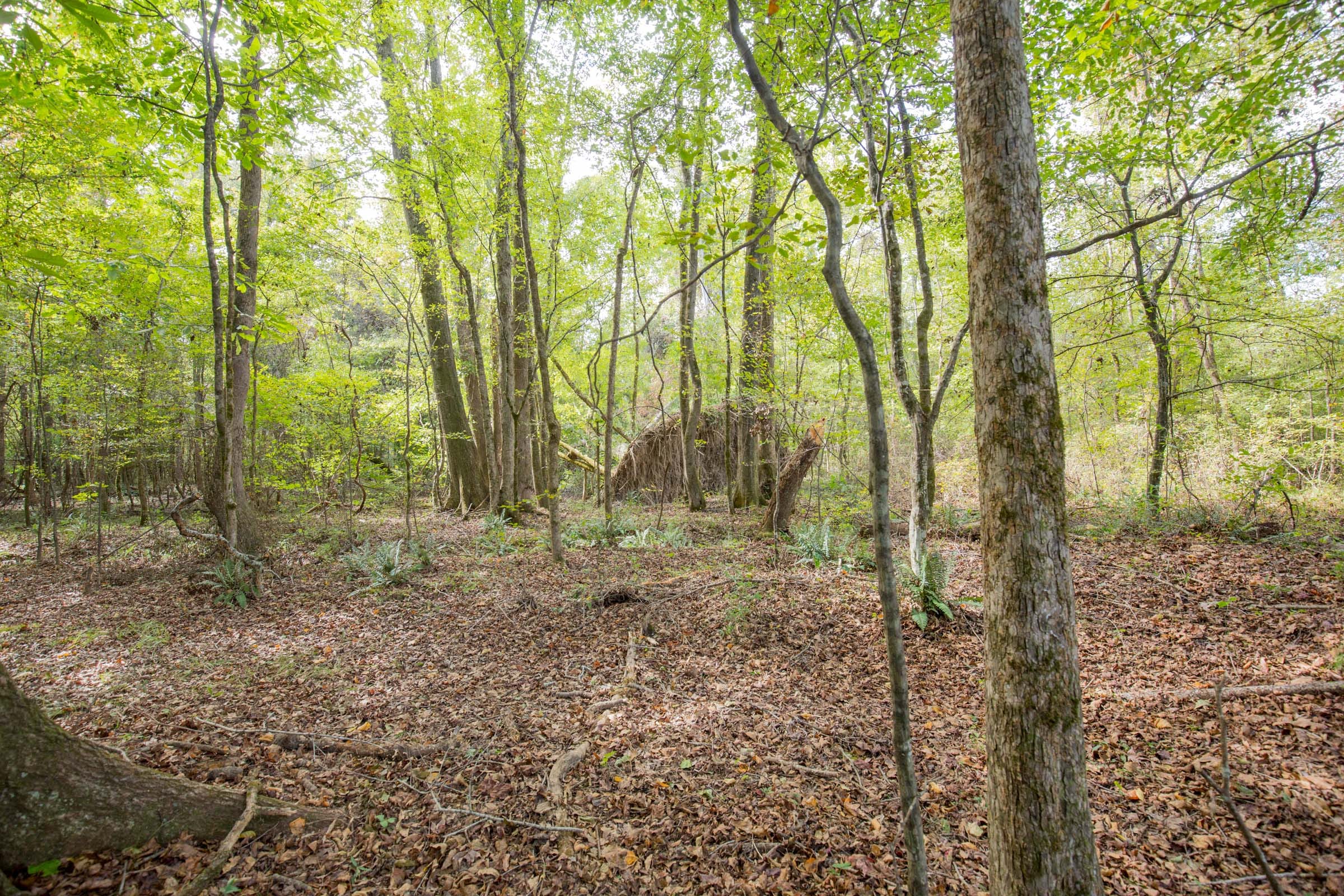 Sky Ranch Tract 8 photo 12