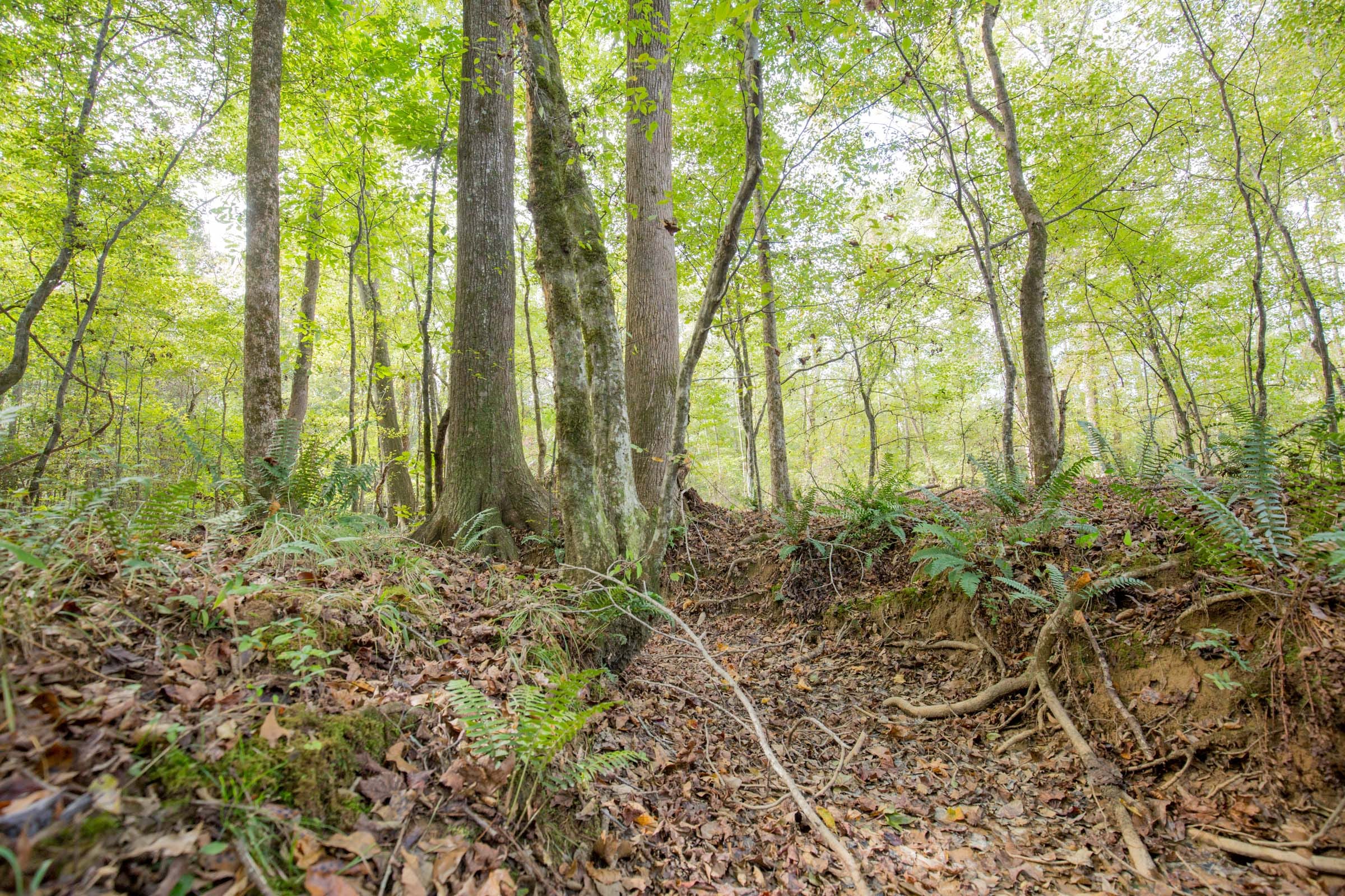 Sky Ranch Tract 8 photo 11
