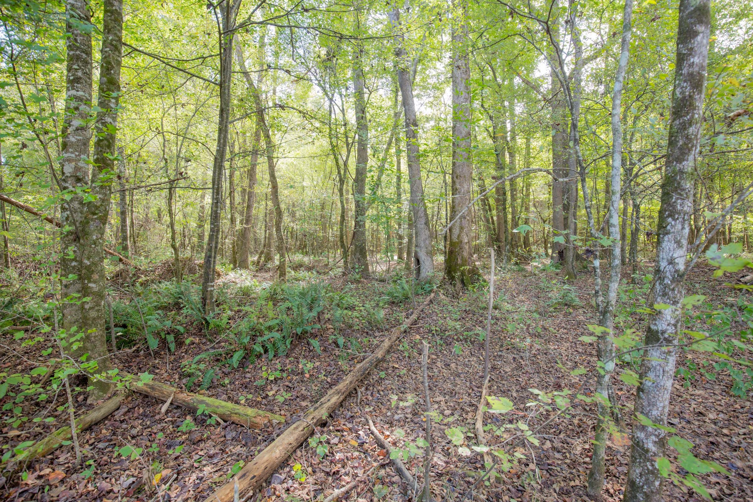Sky Ranch Tract 8 photo 4