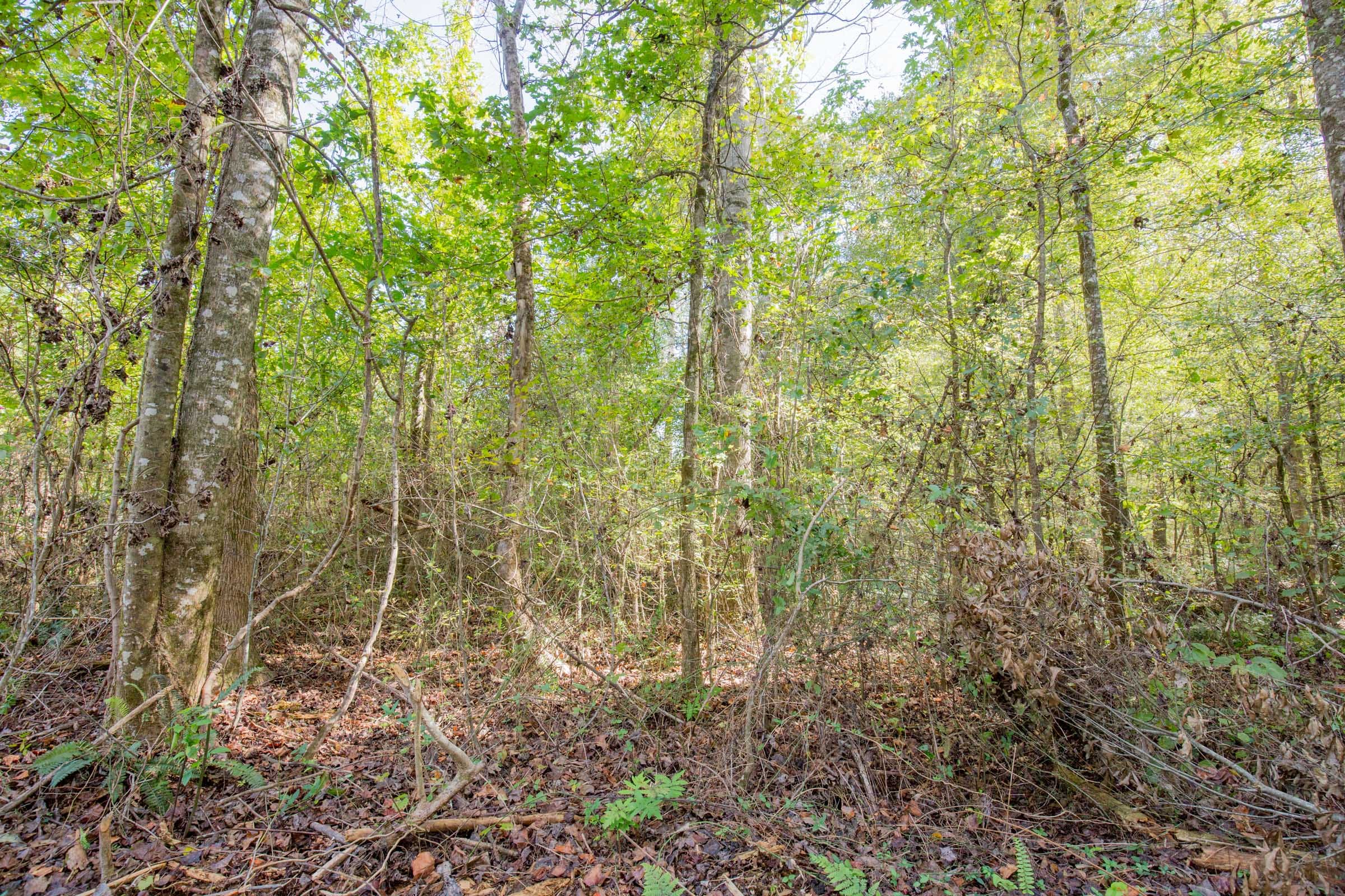 Sky Ranch Tract 8 photo 2
