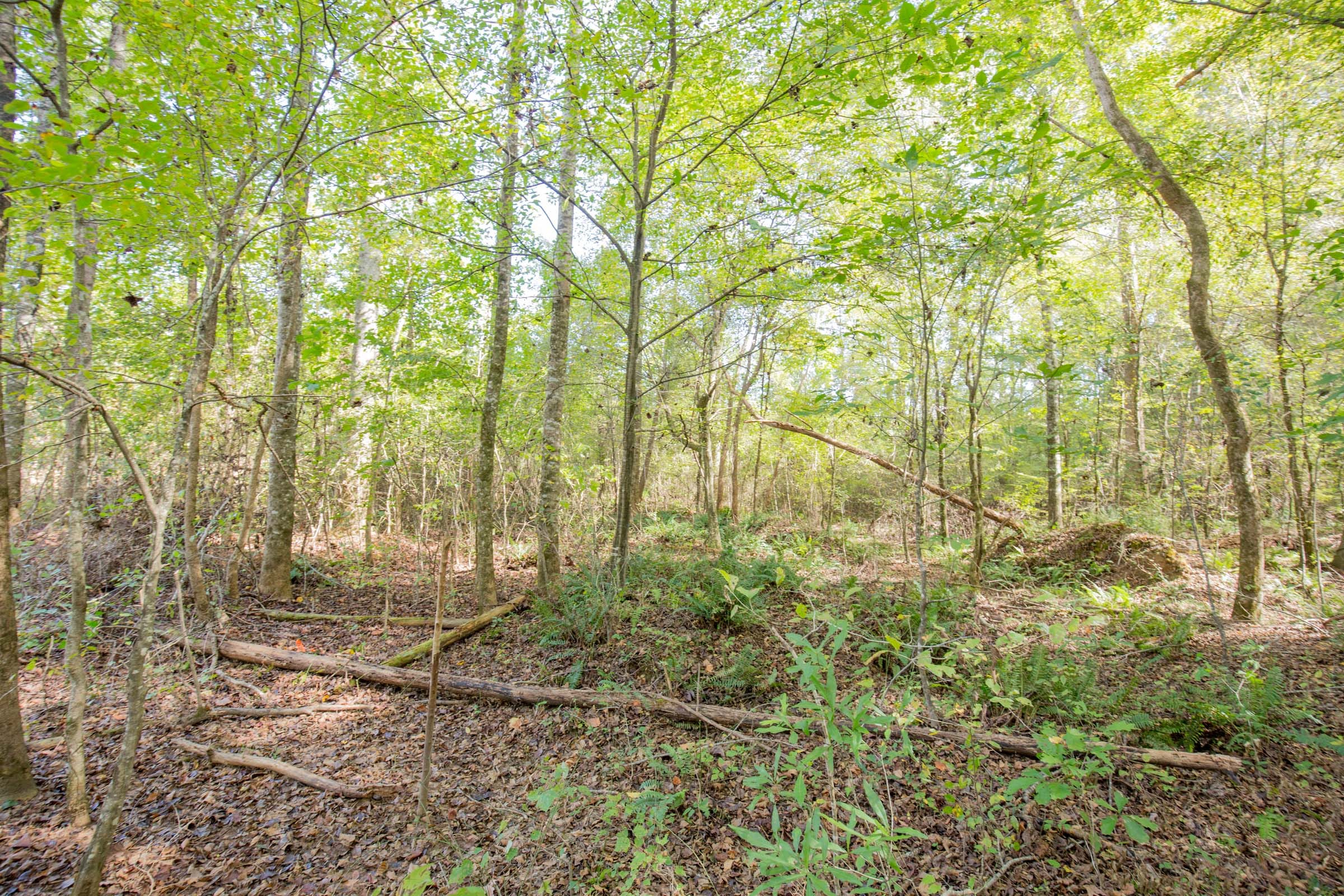 Sky Ranch Tract 8 photo 6