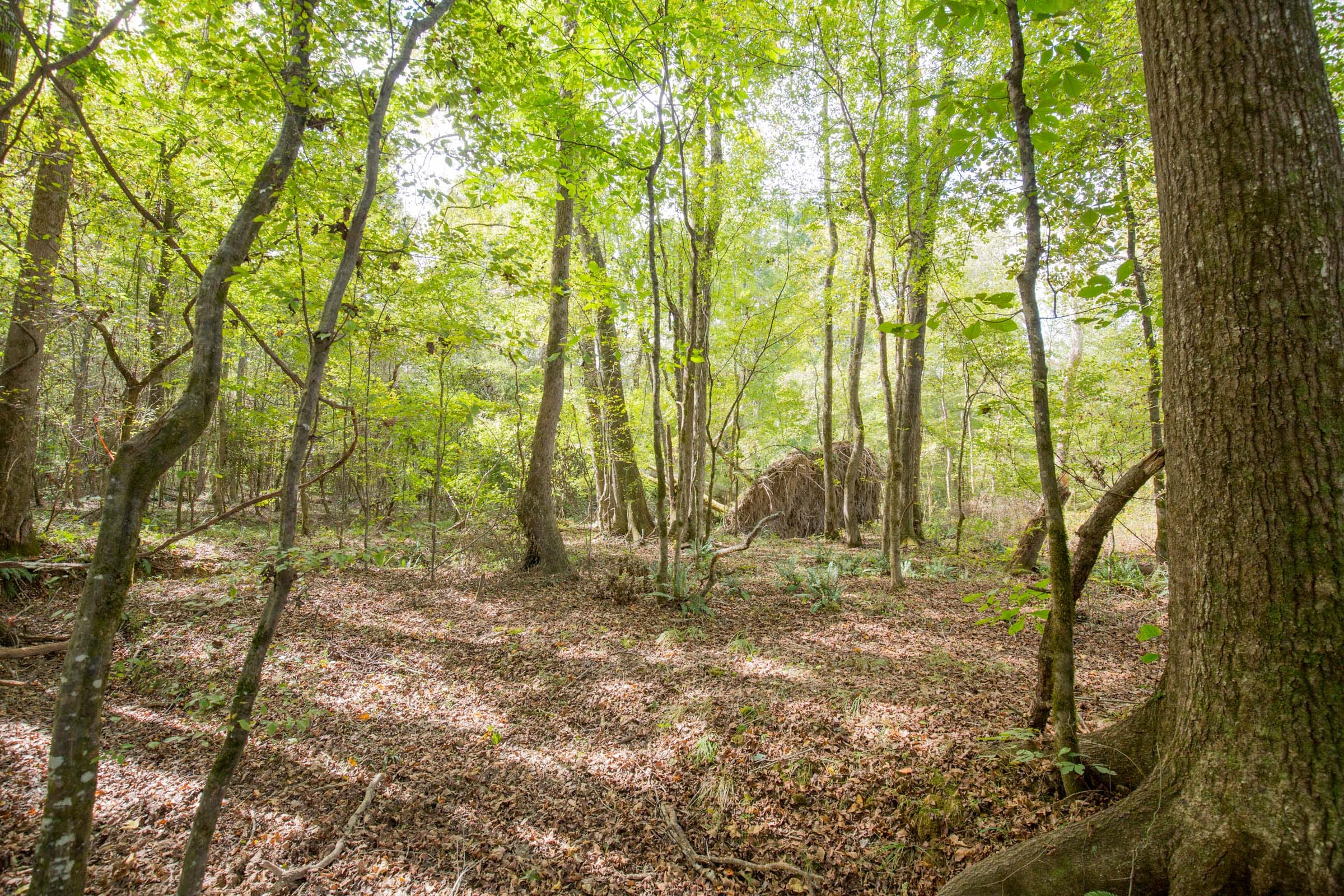 Sky Ranch Tract 8 photo 10