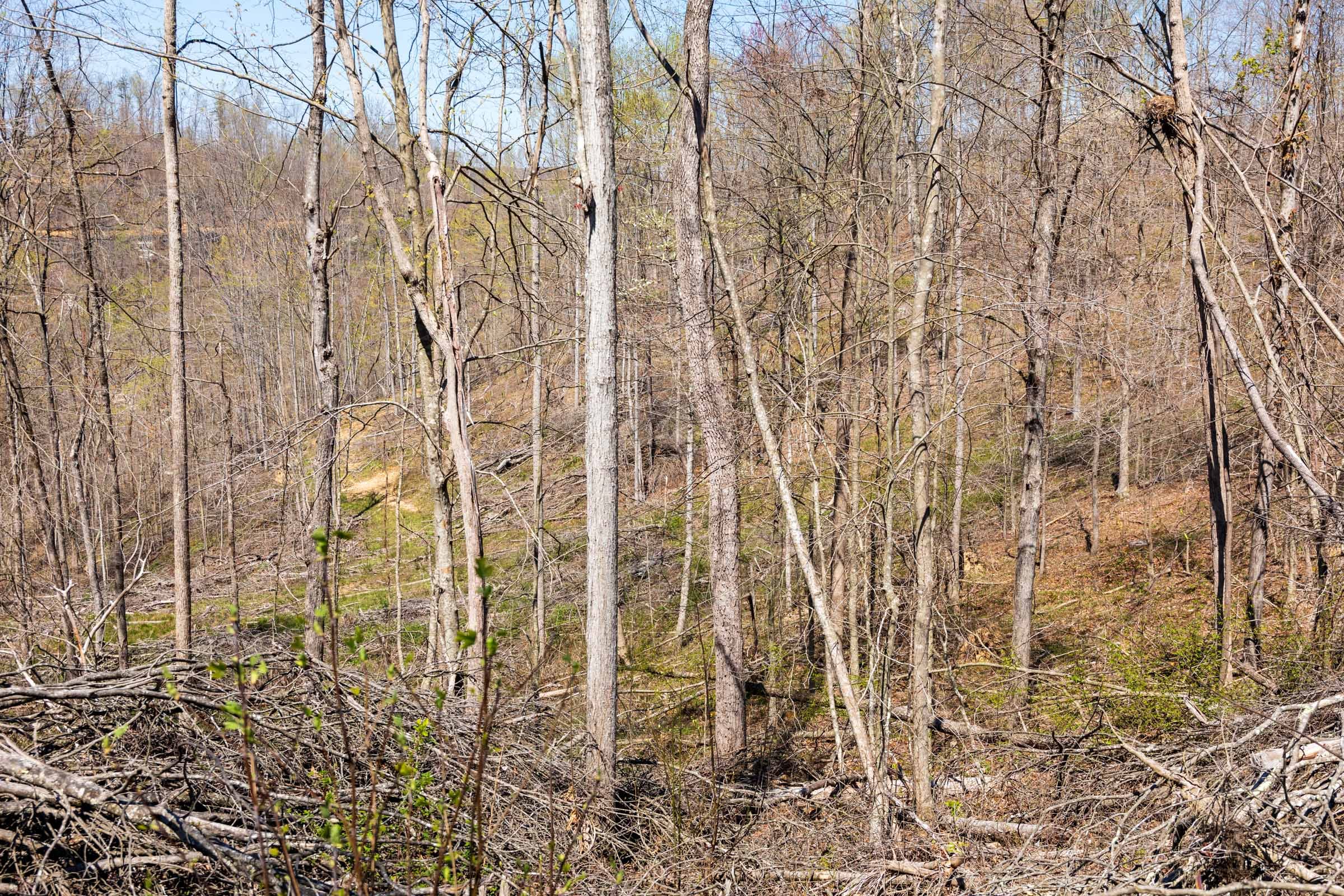 Creek Hollow Phase I Tract 44 photo 3