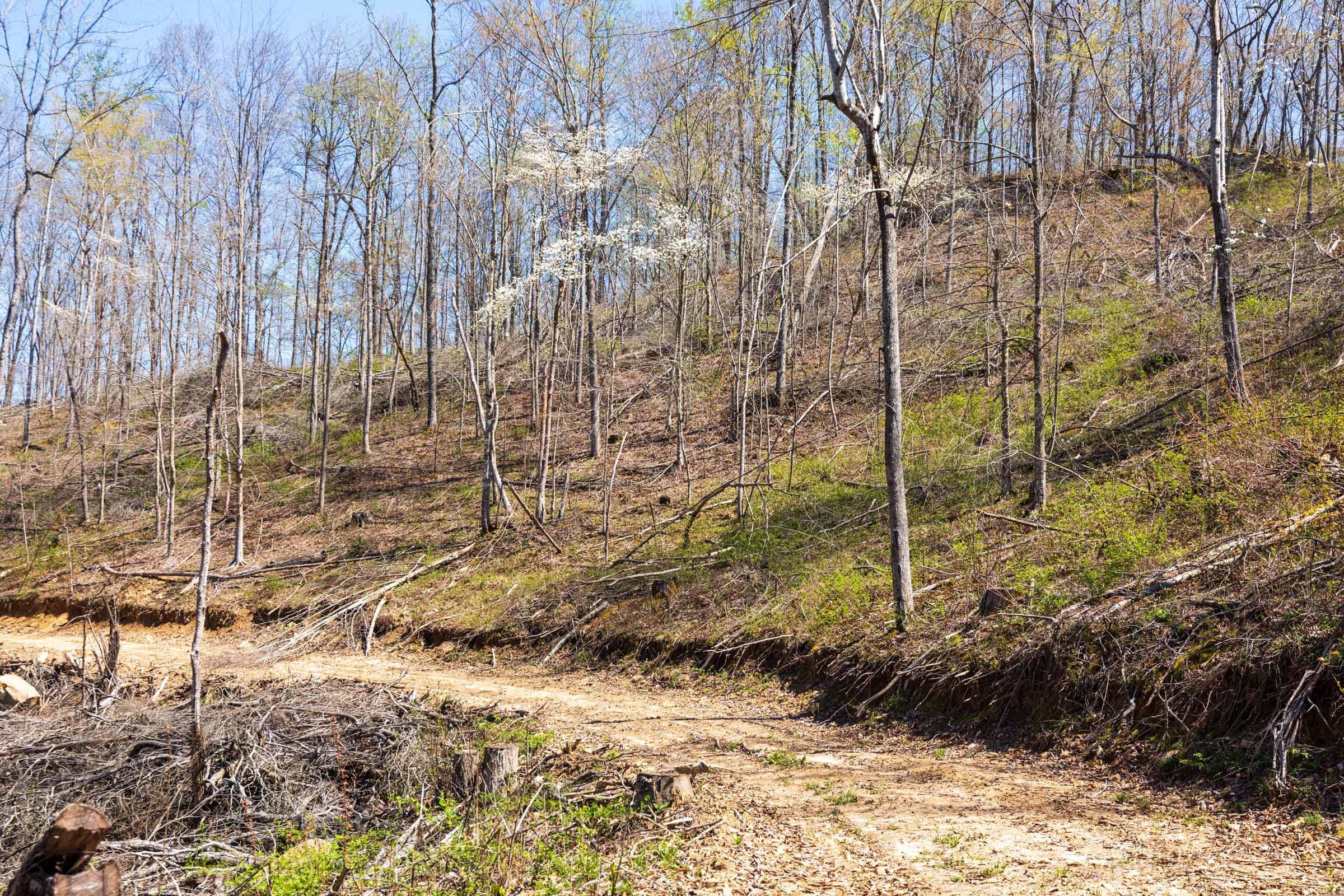 Creek Hollow Phase I Tract 44 photo 4