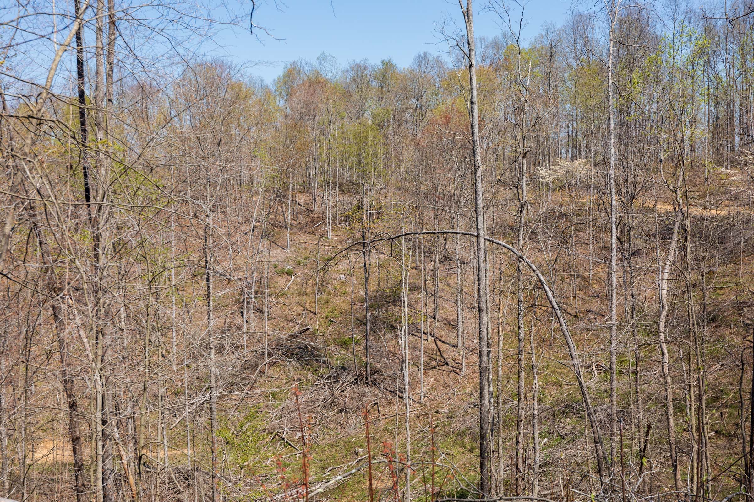Creek Hollow Phase I Tract 44 photo 5