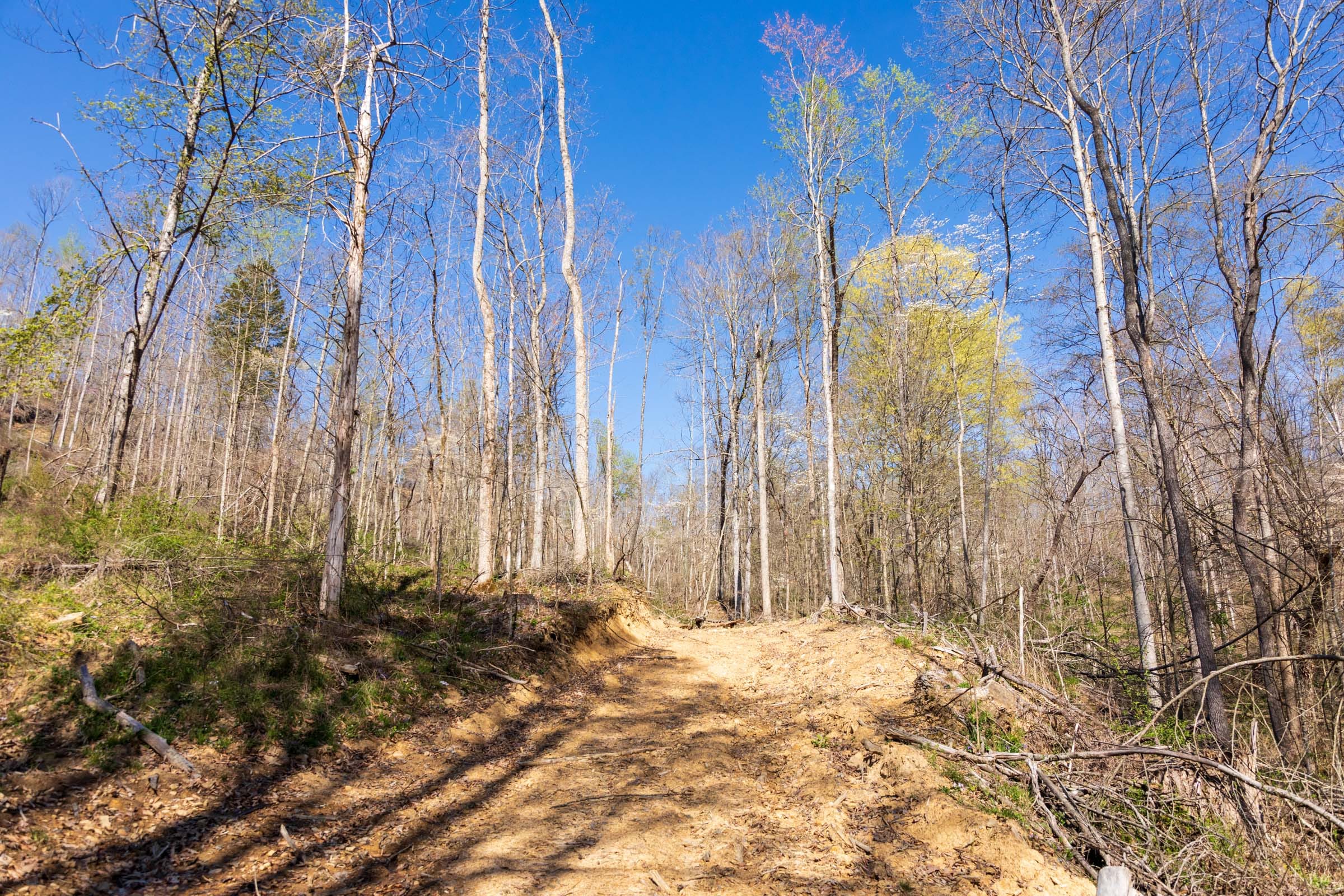 Creek Hollow Phase I Tract 44 photo 6