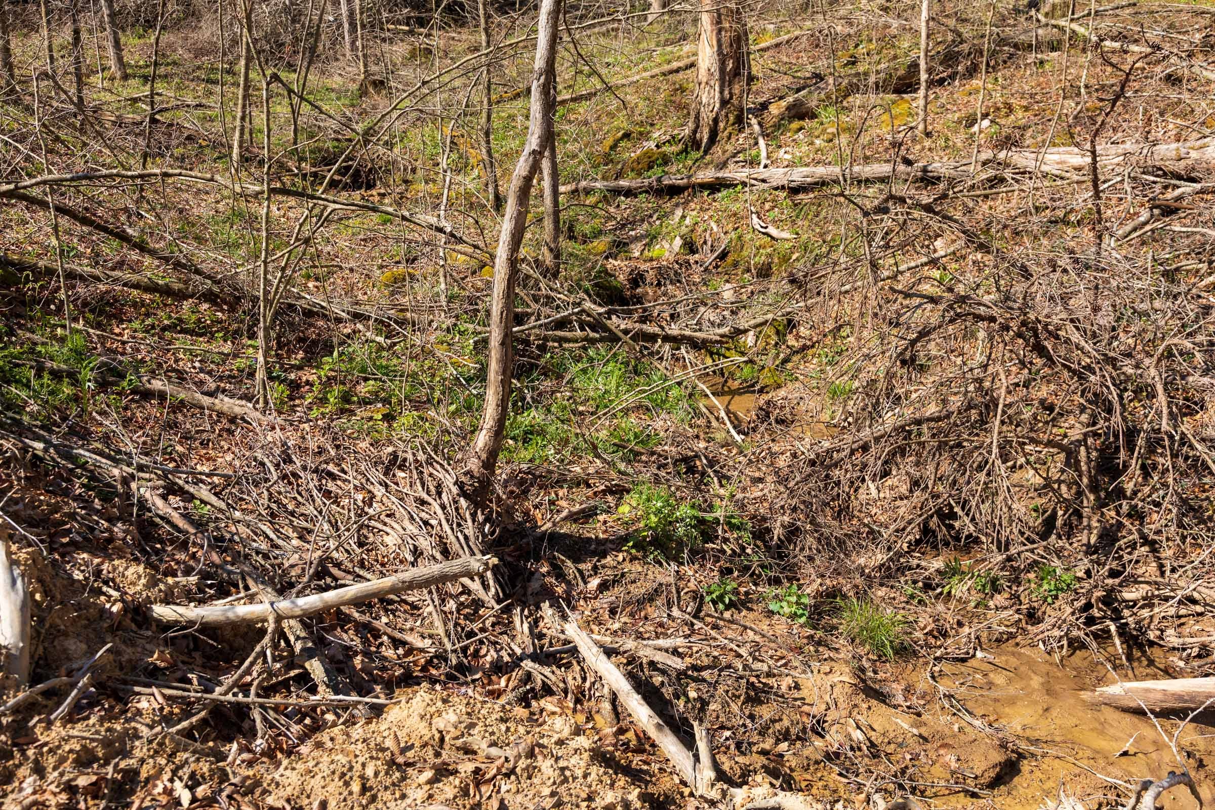 Creek Hollow Phase I Tract 44 photo 9