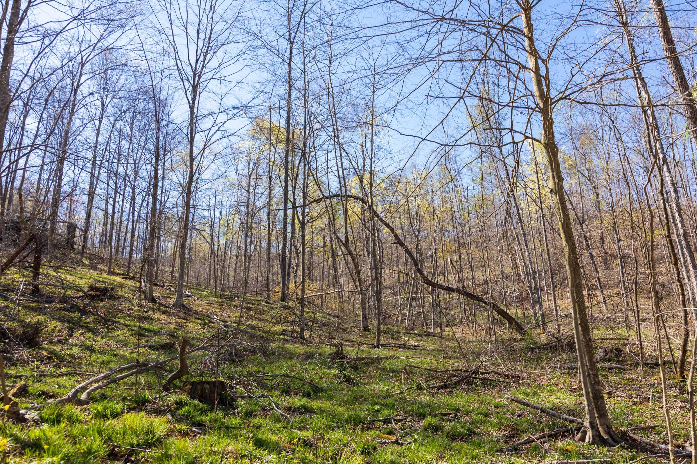 Creek Hollow Phase I Tract 44 photo 1