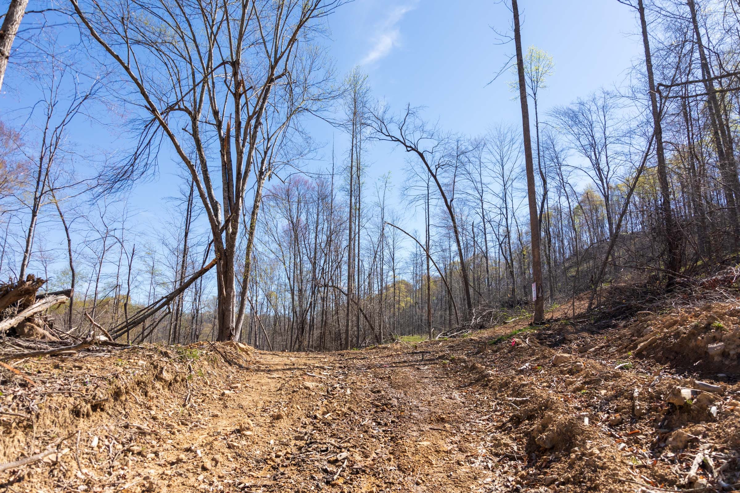 Creek Hollow Phase I Tract 44 photo 8
