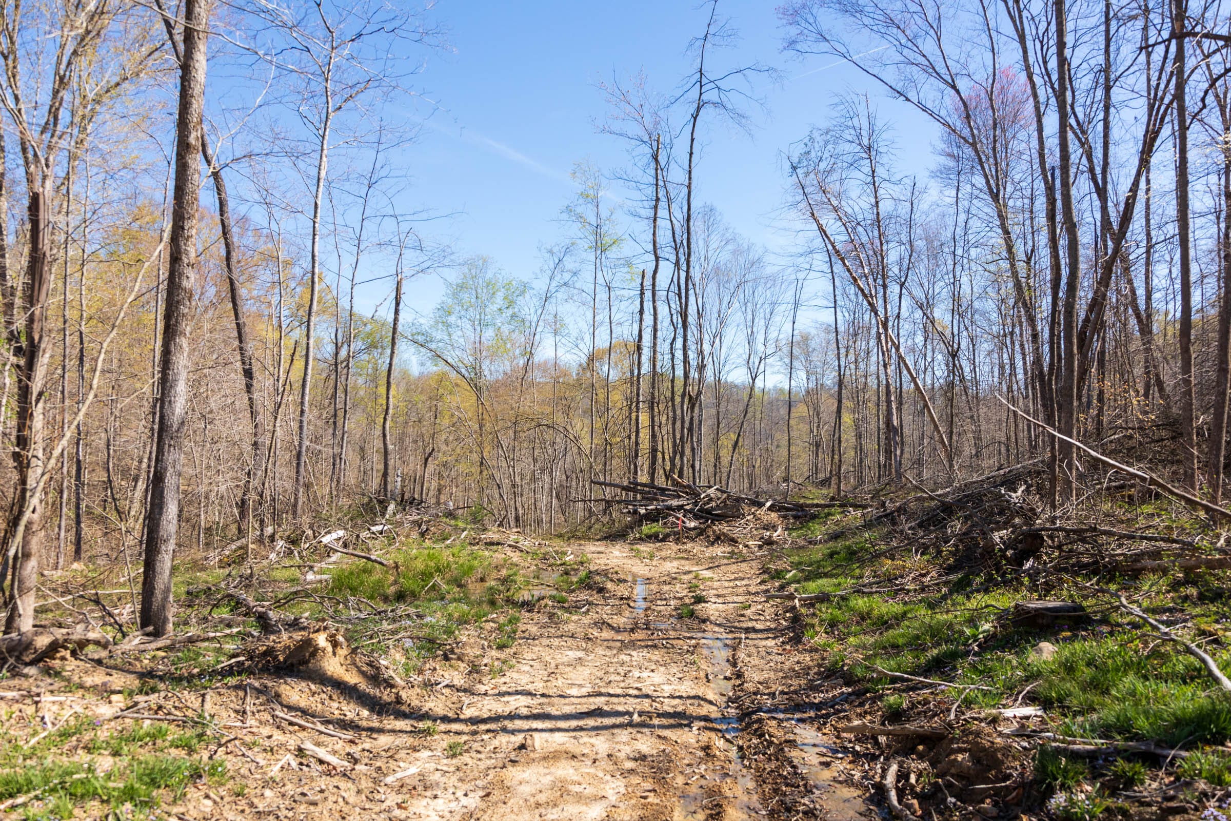 Creek Hollow Phase I Tract 44 photo 2