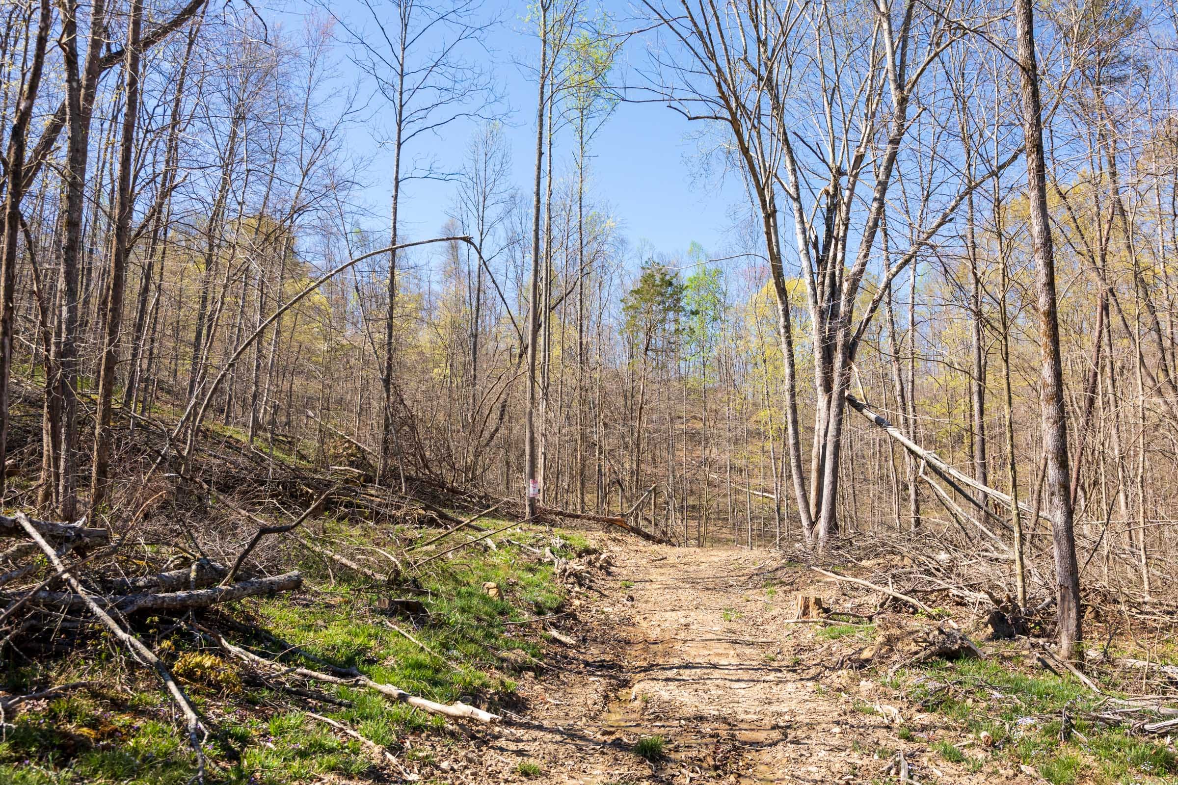 Creek Hollow Phase I Tract 44 photo 10