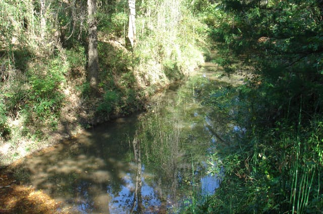 Hannubby Creek Tract 1 photo 2