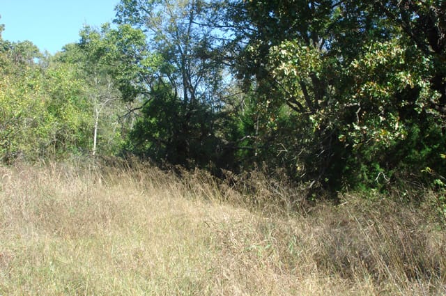 Hannubby Creek Tract 1 photo 4