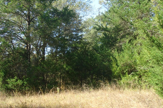 Hannubby Creek Tract 1 photo 7