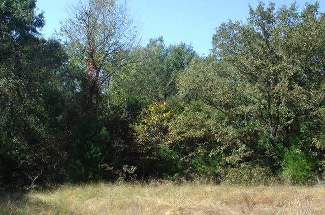 Hannubby Creek Tract 1 photo 8