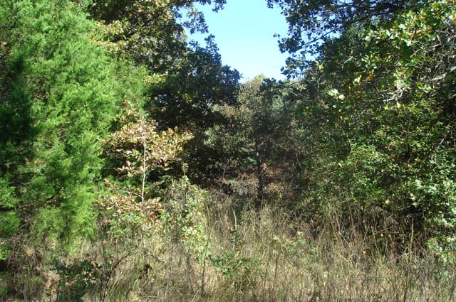 Hannubby Creek Tract 1 photo 9