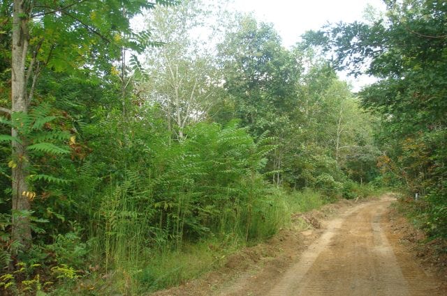 Sugartree Falls Tract 16 photo 1