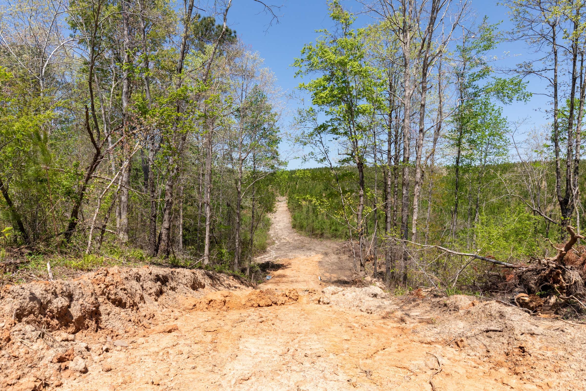 Clear Wood Tract 50 photo 11