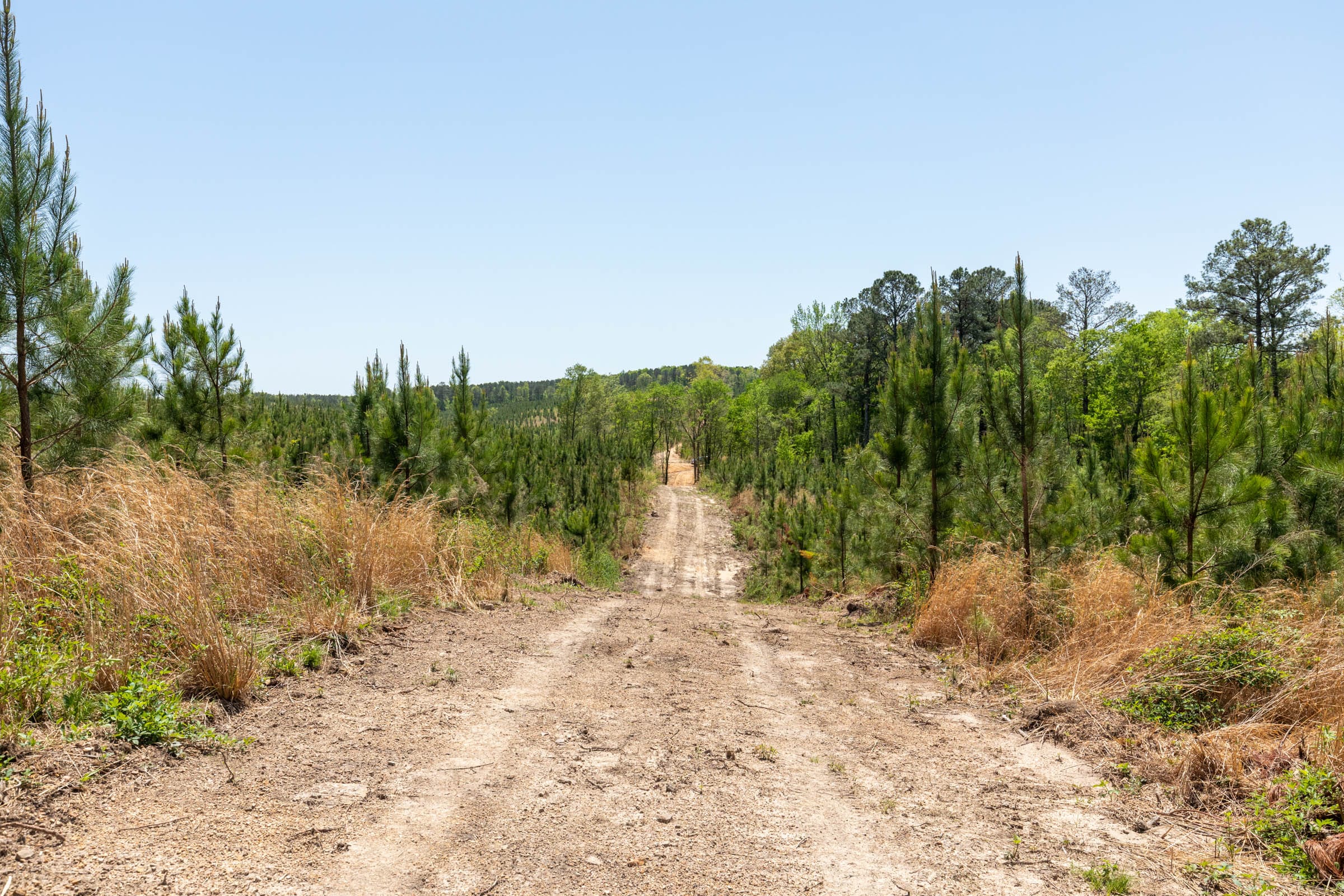 Clear Wood Tract 50 photo 2